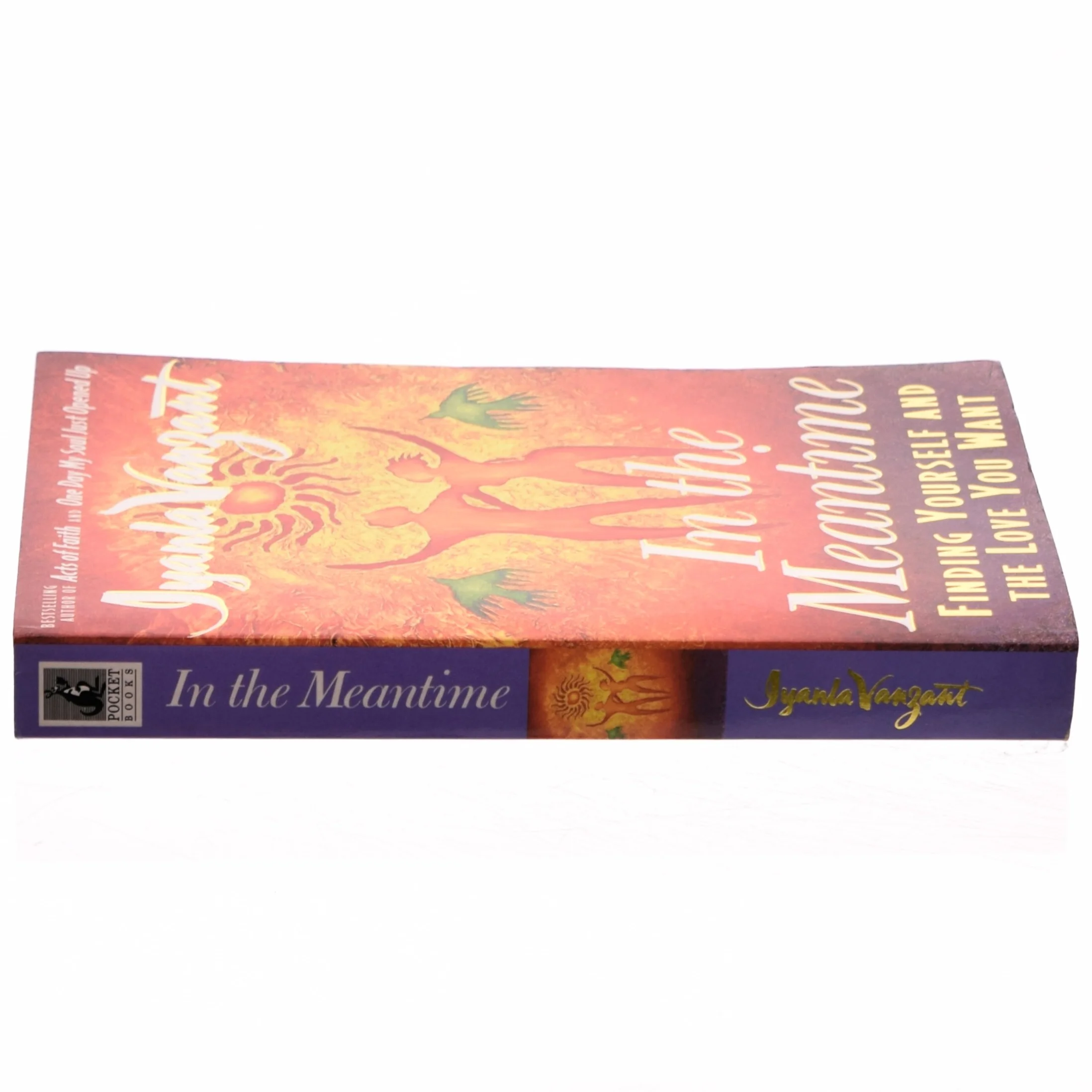 In the Meantime af Iyanla Vanzant (Bog)