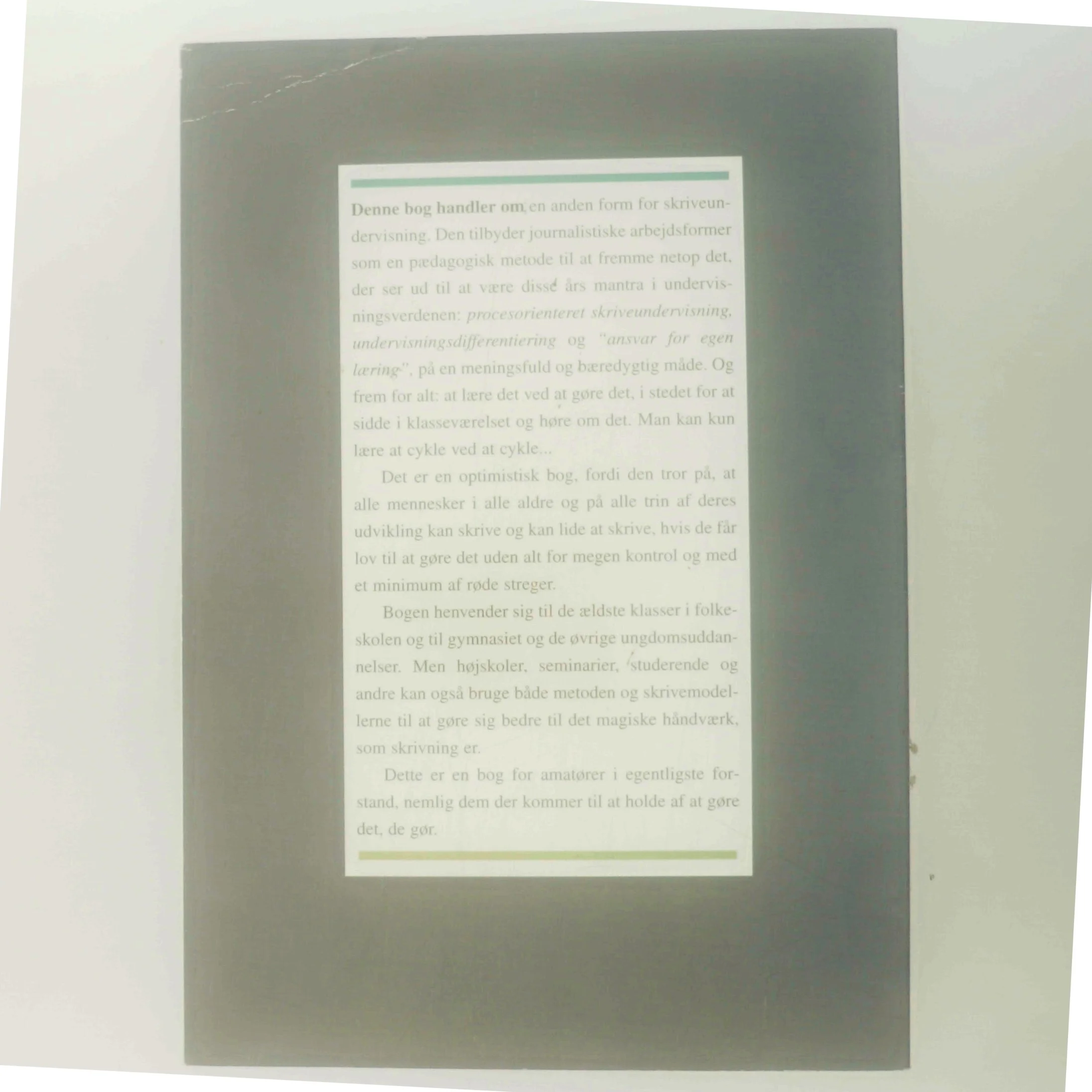 Dagdriveren & Detektiven af Søren Søgaard (Bog)