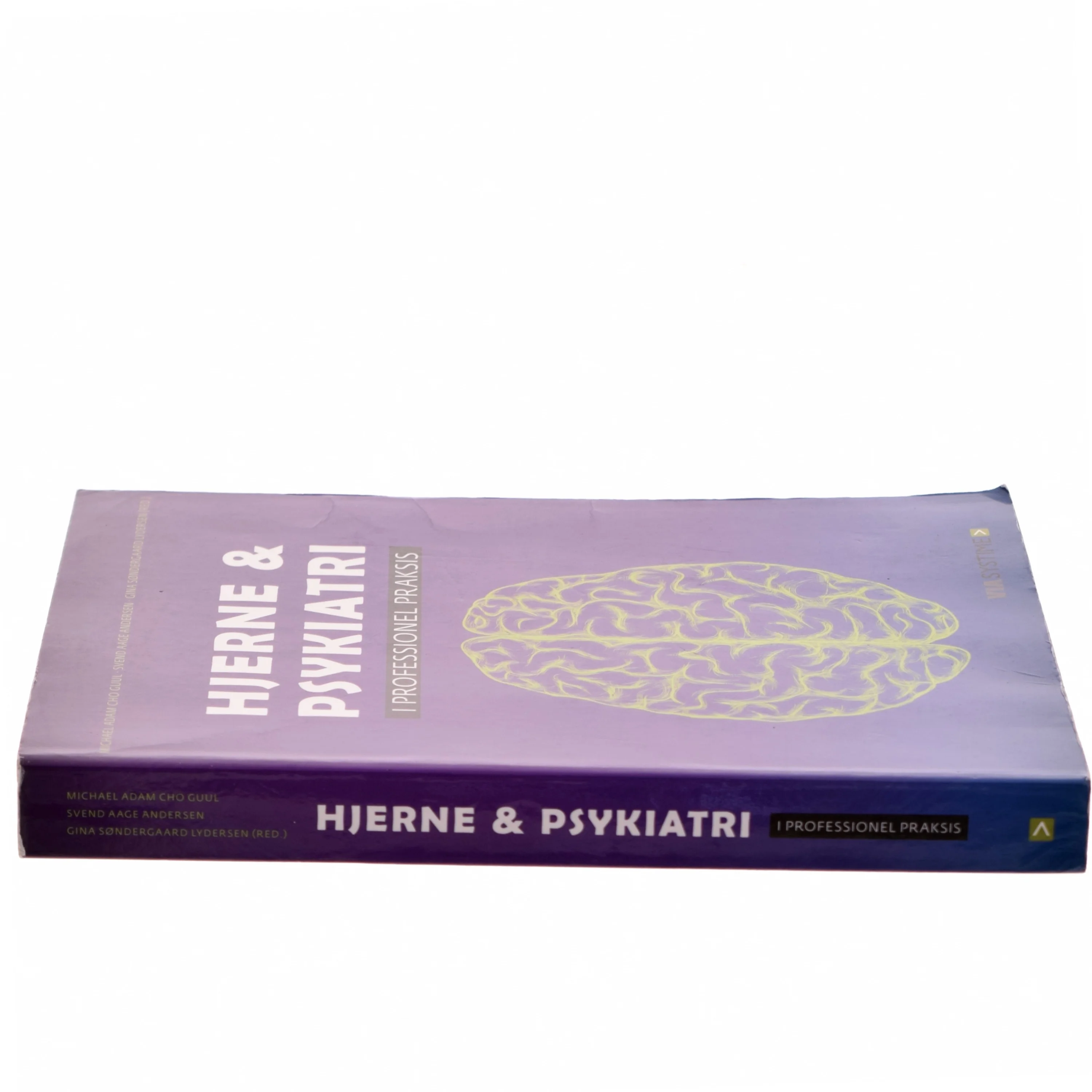 Hjerne & psykiatri - i professionel praksis (Bog)