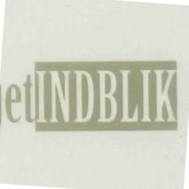 Ledergruppen : det dynamiske omdrejningspunkt af Susanne Teglkamp (Bog)