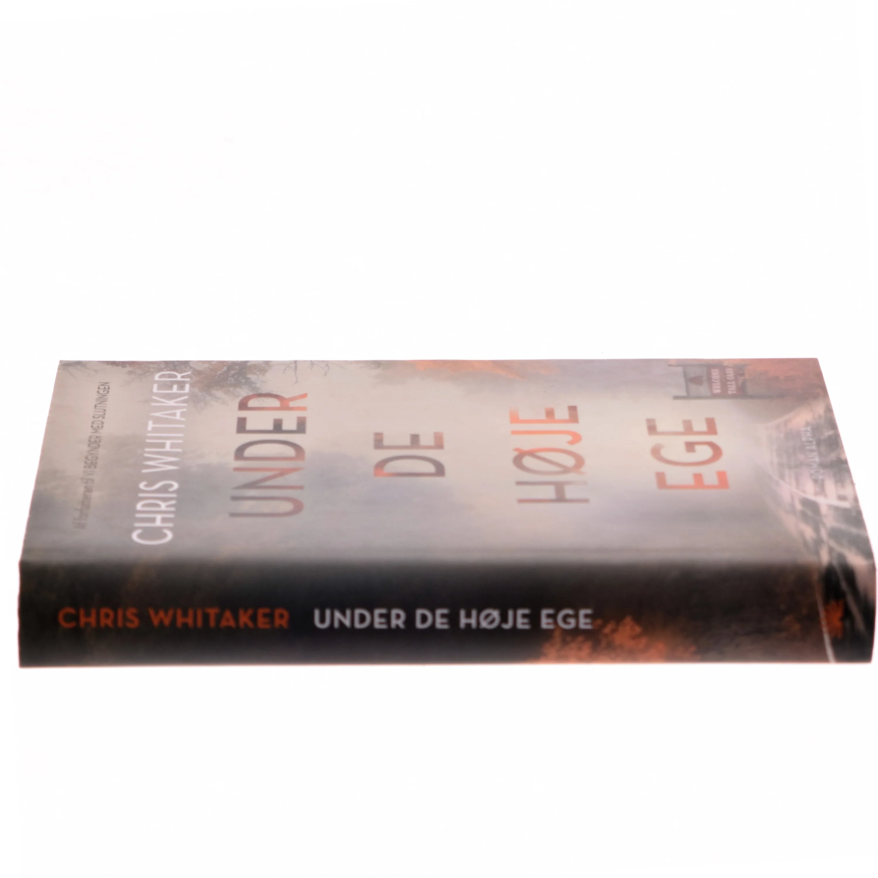 Under de høje ege : roman af Chris Whitaker (Bog)