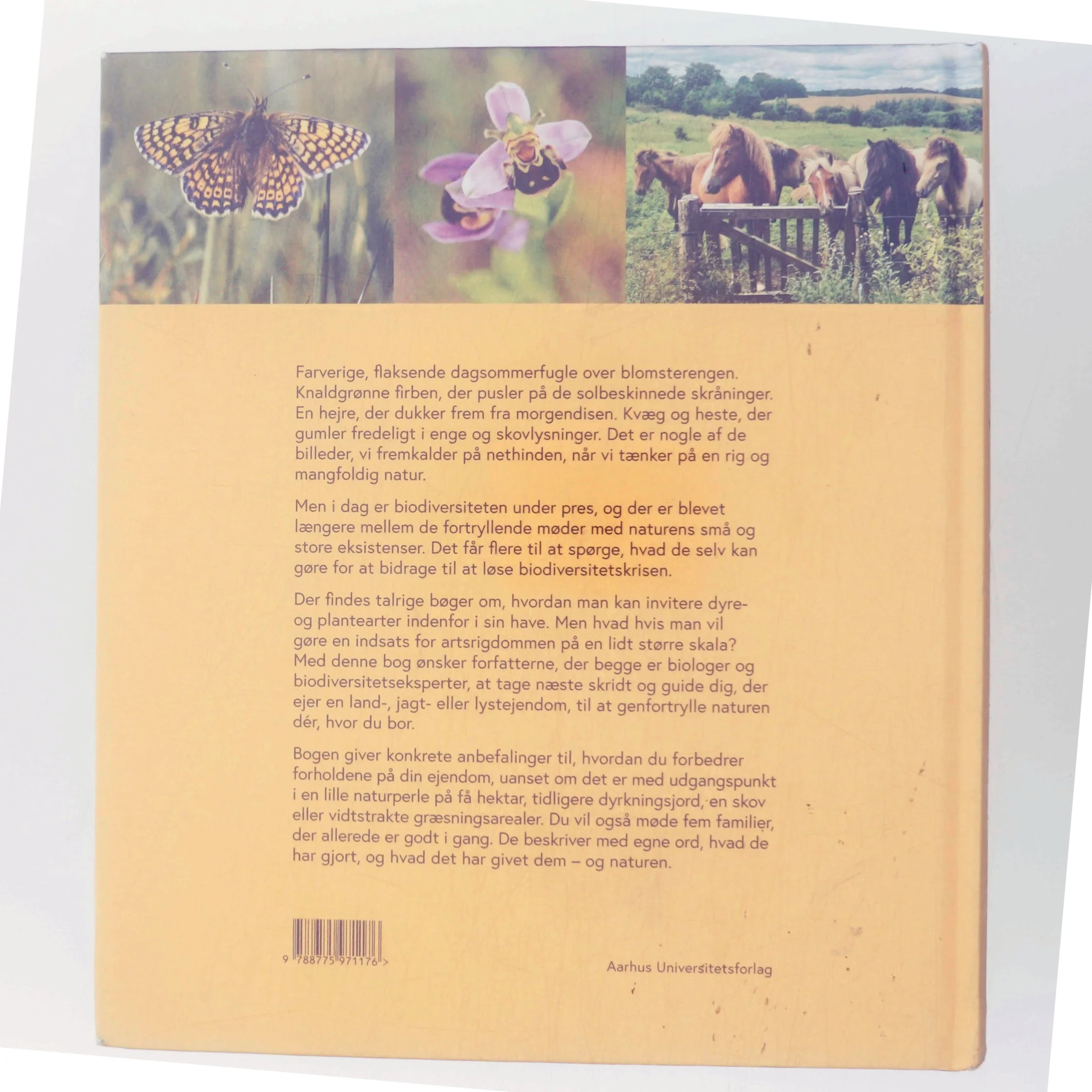 Genfortryllet : vejen til mere biodiversitet på din landejendom af Anne Erland Eskildsen (Bog)