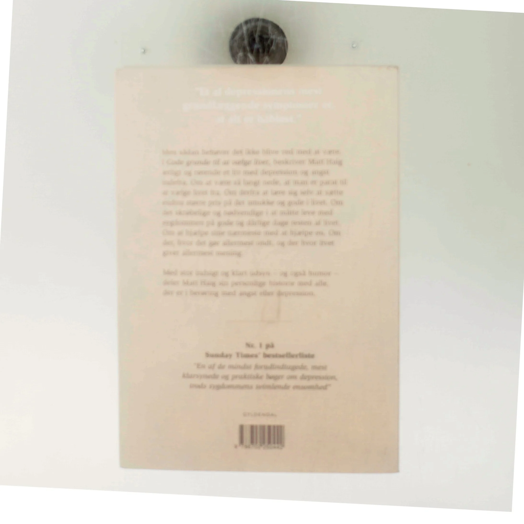 Gode grunde til at vælge livet : håndbog i depression af Matt Haig (Bog)