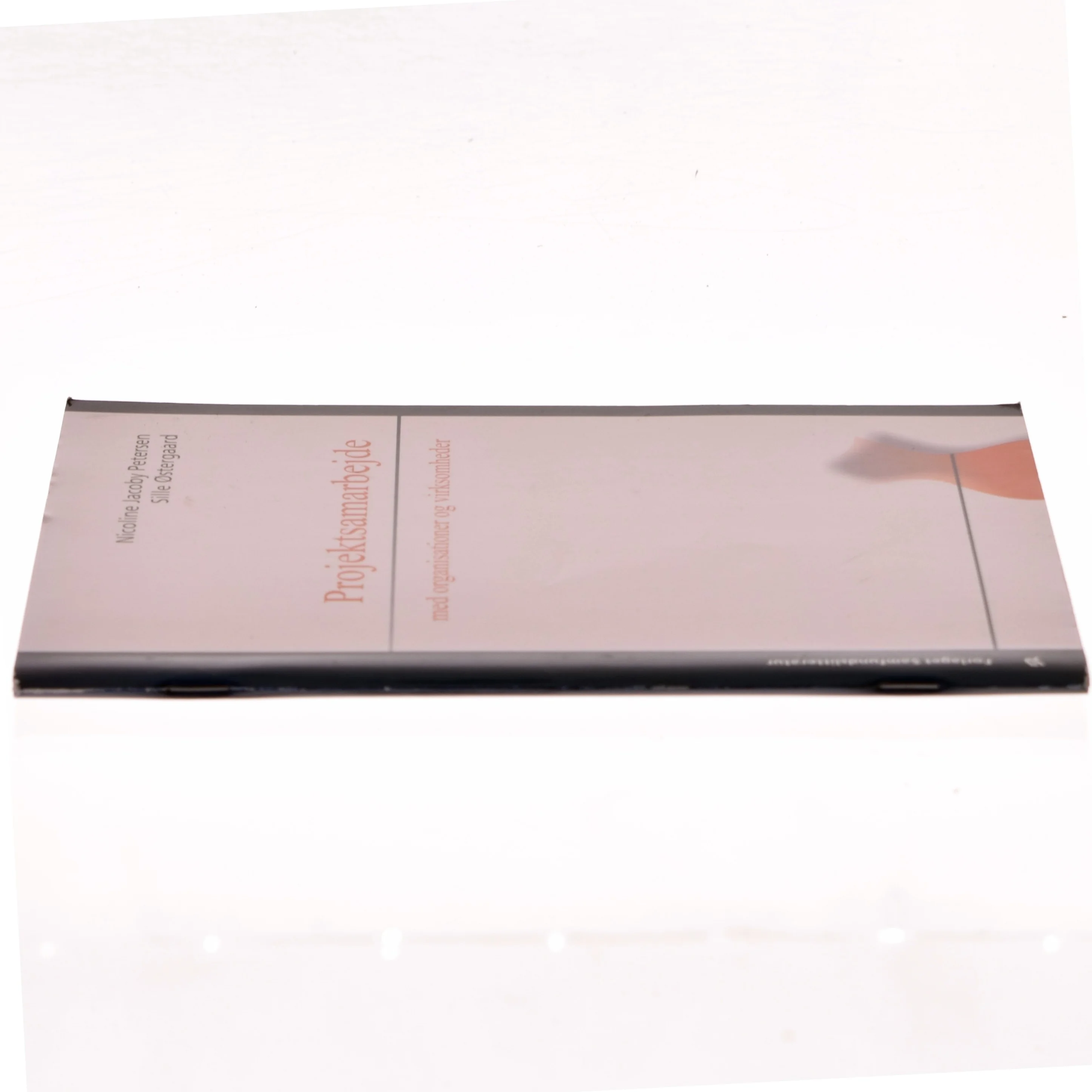 Projektsamarbejde med organisationer og virksomheder (Bog)