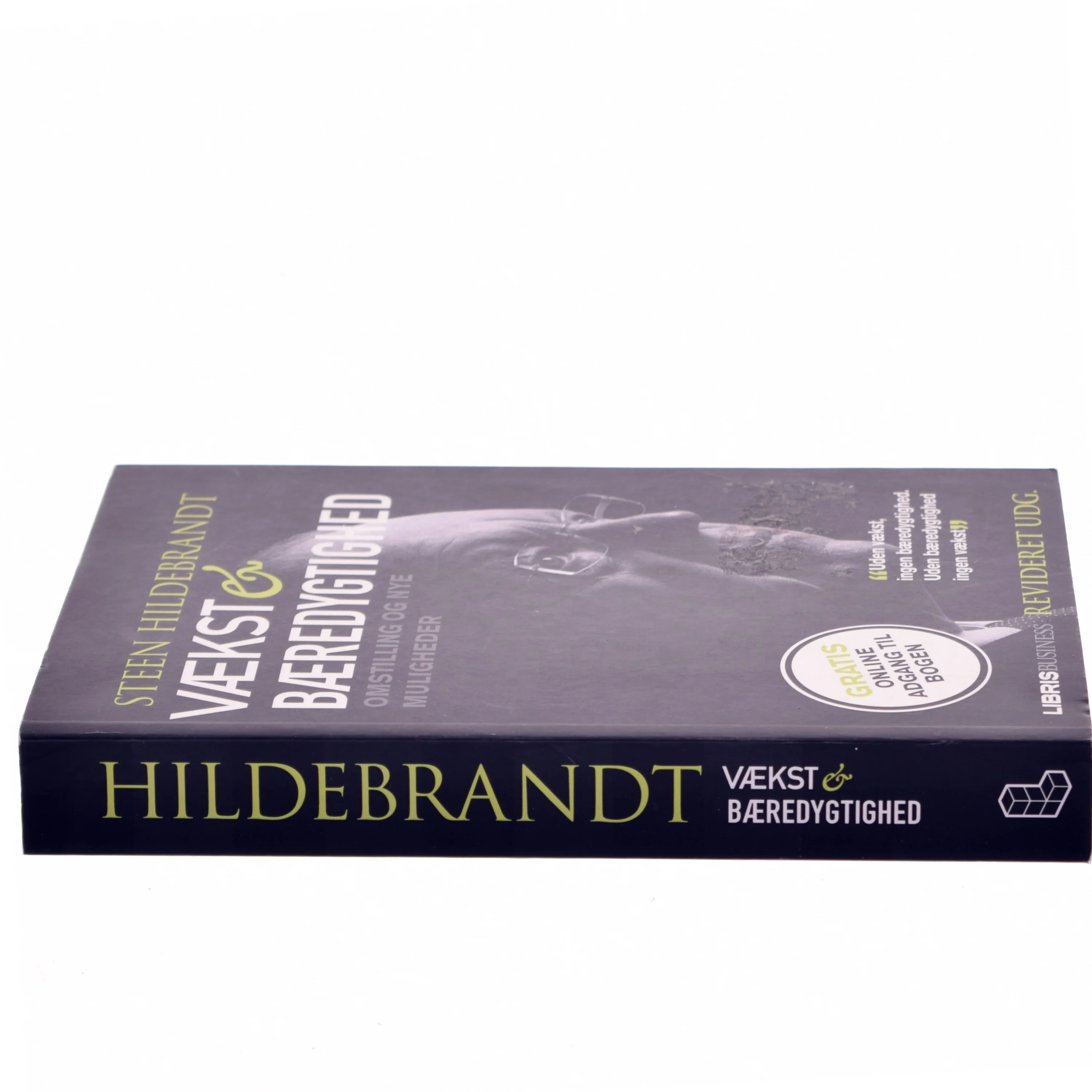 Vækst & bæredygtighed af Steen Hildebrandt (Bog)