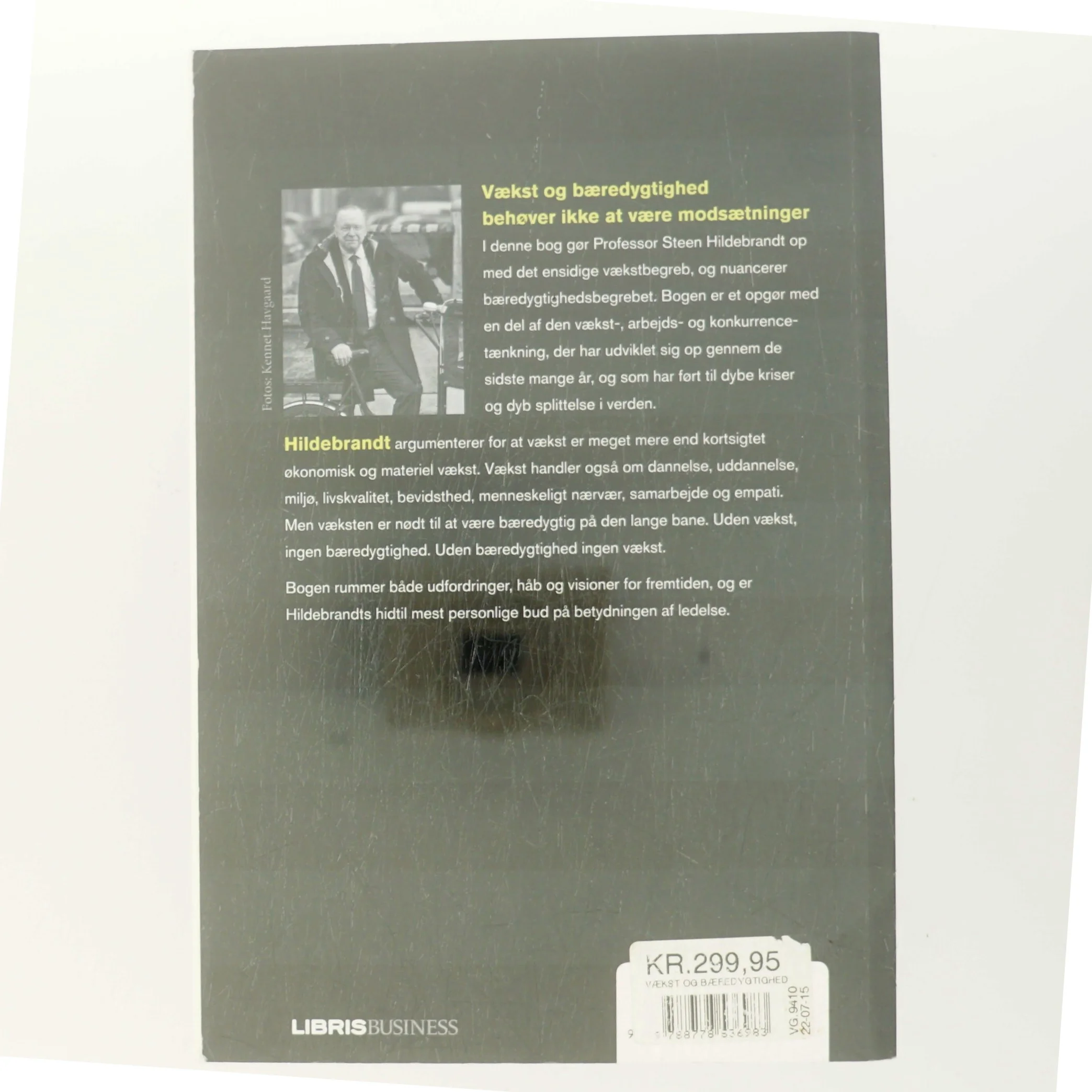 Vækst & bæredygtighed af Steen Hildebrandt (Bog)