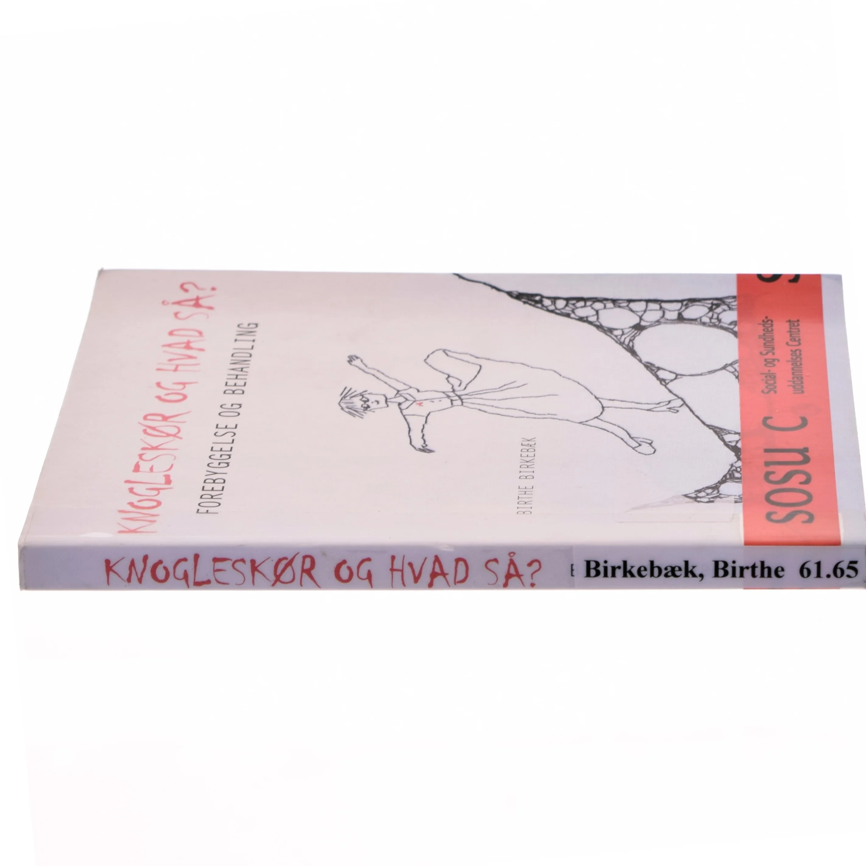 Knogleskør og hvad så? af Birthe Birkebæk