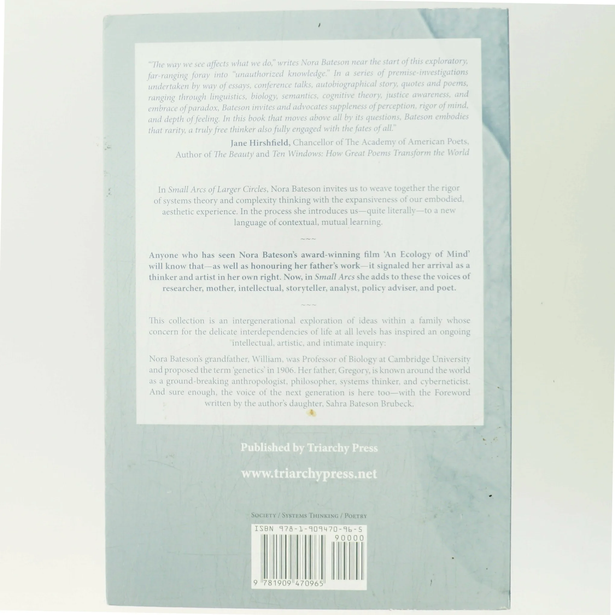 Small arcs of larger circles : framing through other patterns af Nora Bateson (Bog)