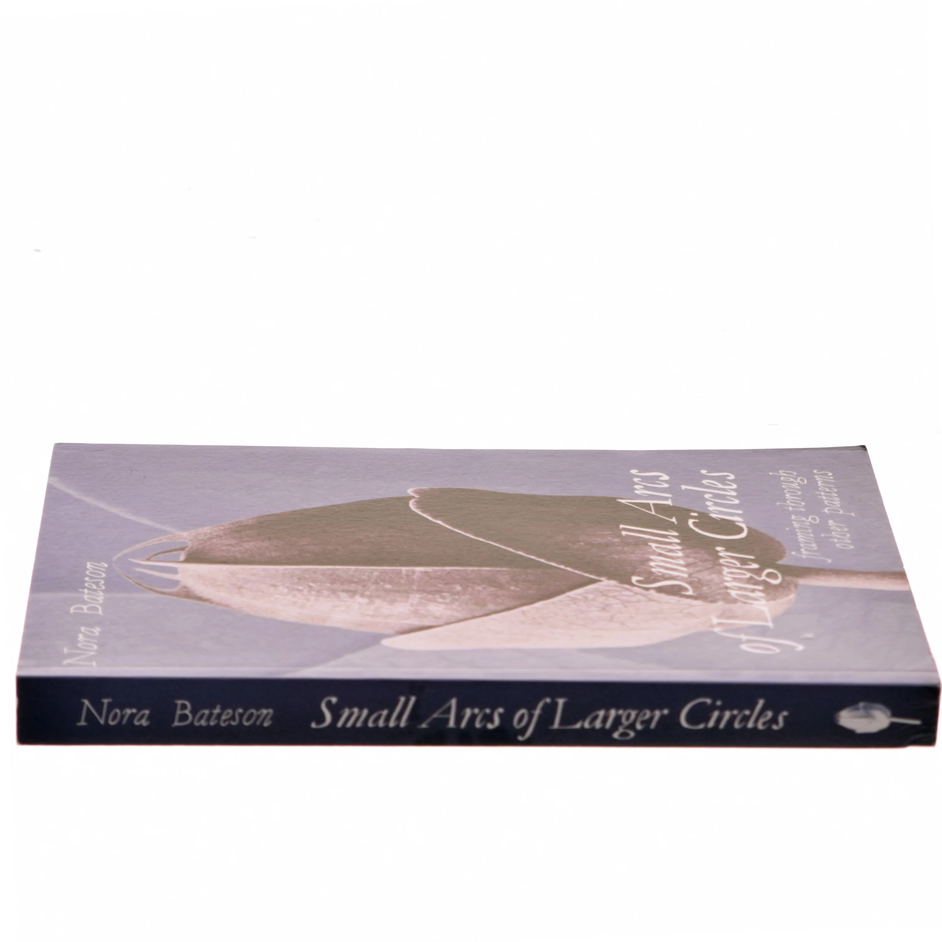 Small arcs of larger circles : framing through other patterns af Nora Bateson (Bog)