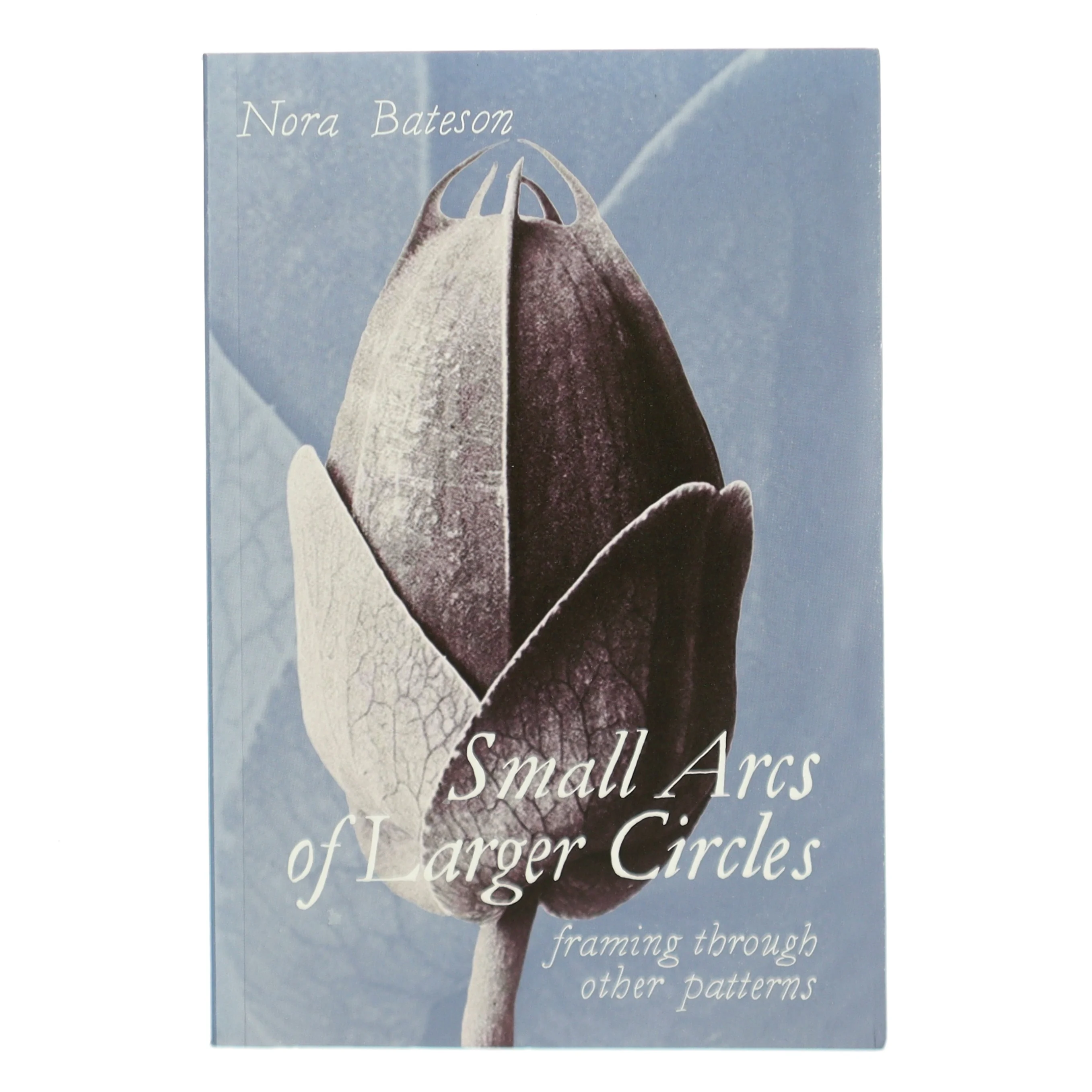 Small arcs of larger circles : framing through other patterns af Nora Bateson (Bog)