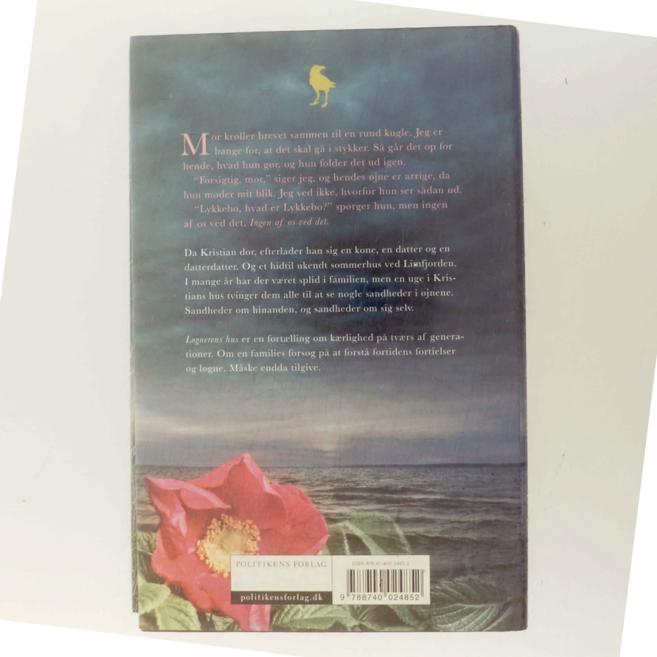 Løgnerens hus : roman (Klassesæt) af Katrine Nørregaard (f. 1994) (Bog)