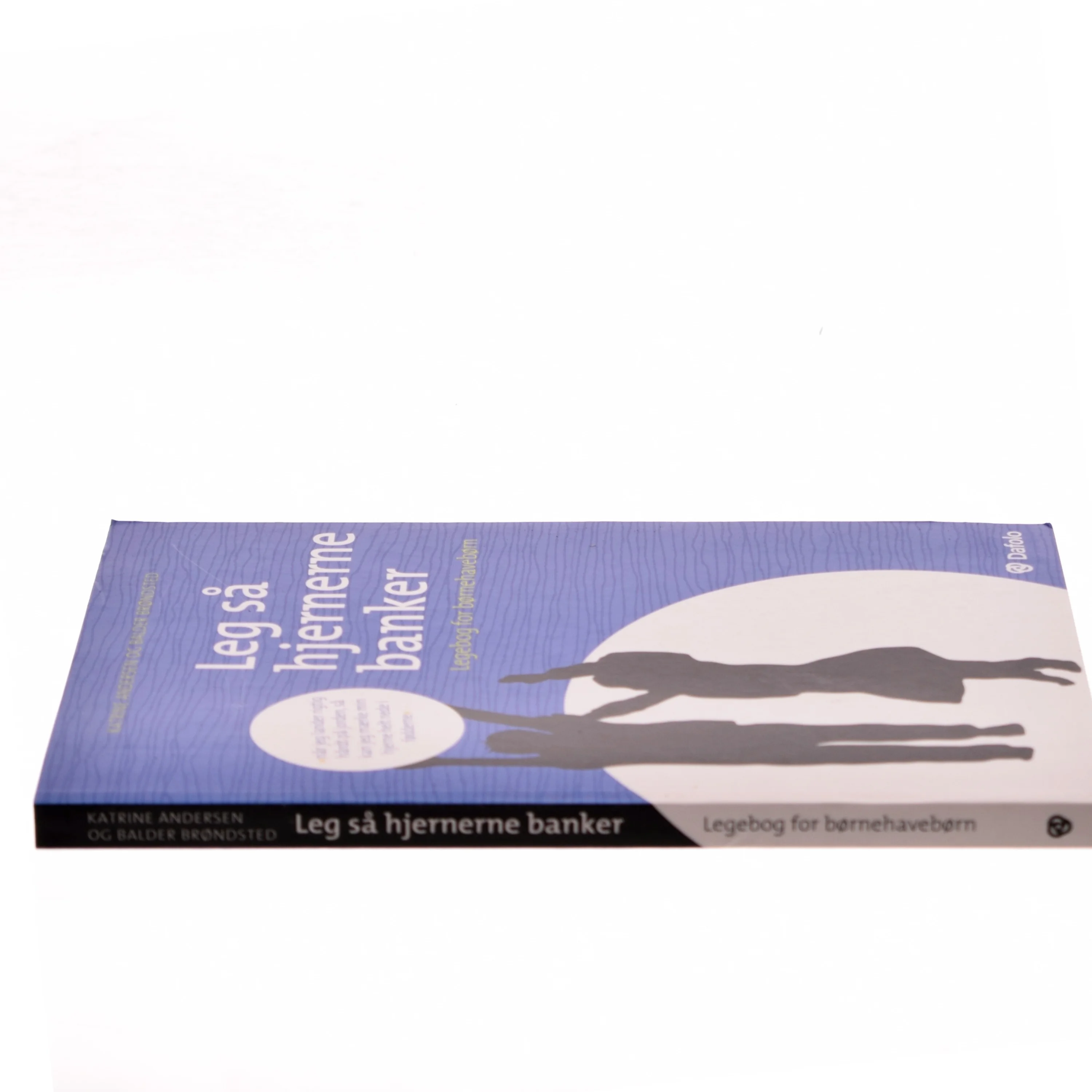 Leg så hjernerne banker : legebog for børnehavebørn af Katrine Andersen (Bog)