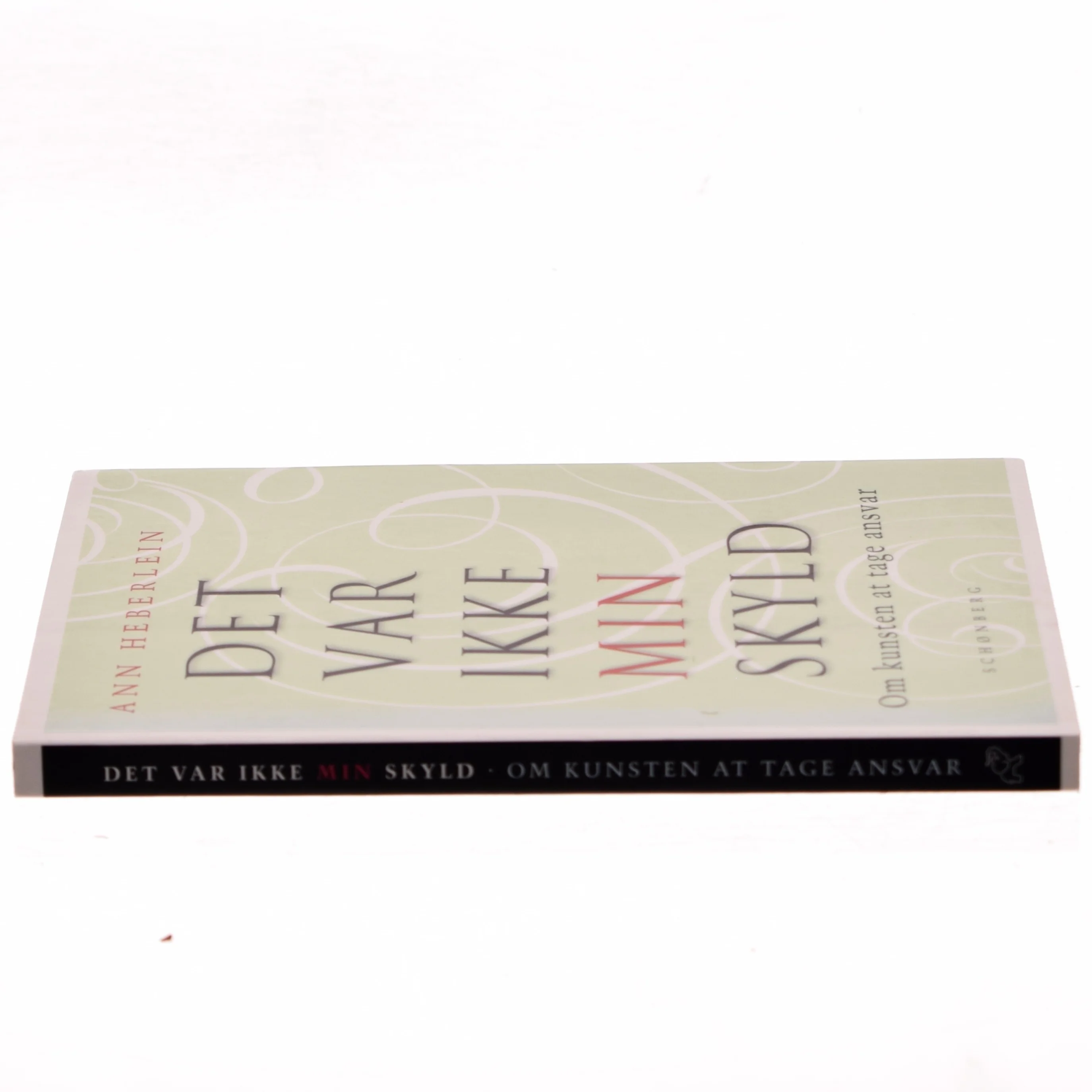 Det var ikke min skyld af Ann Heberlein (Bog)