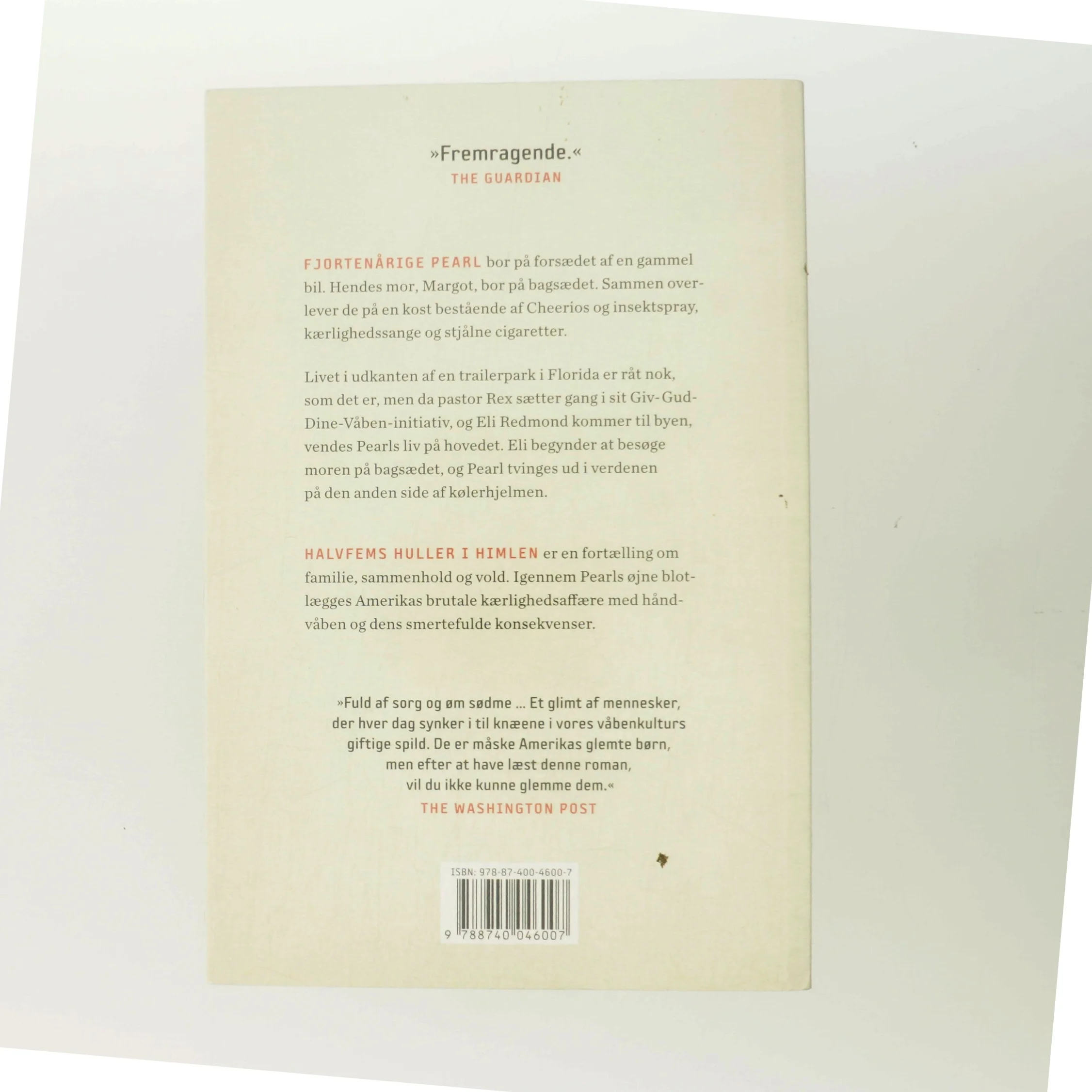 Halvfems huller i himlen : roman af Jennifer Clement (Bog)