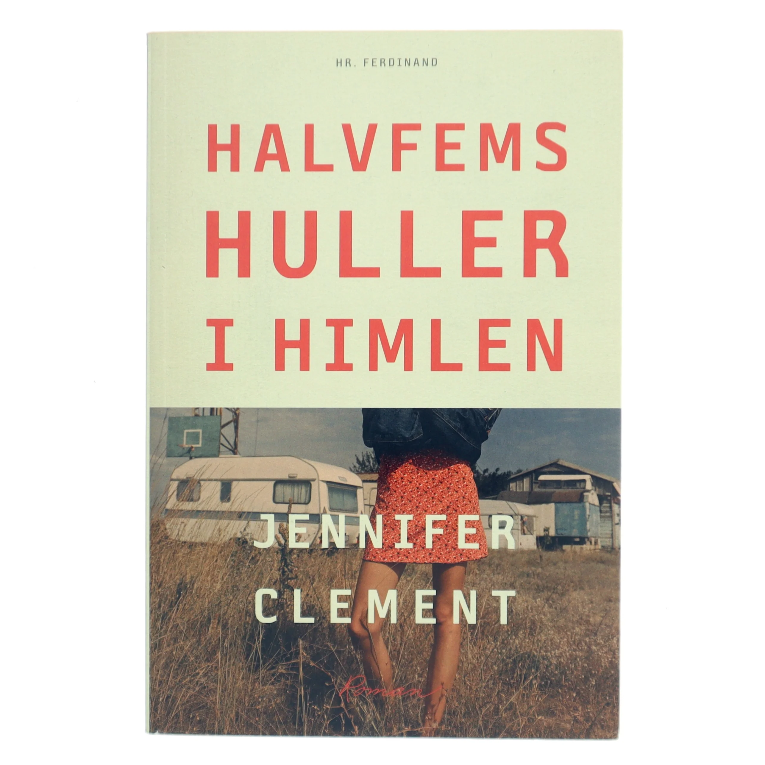 Halvfems huller i himlen : roman af Jennifer Clement (Bog)