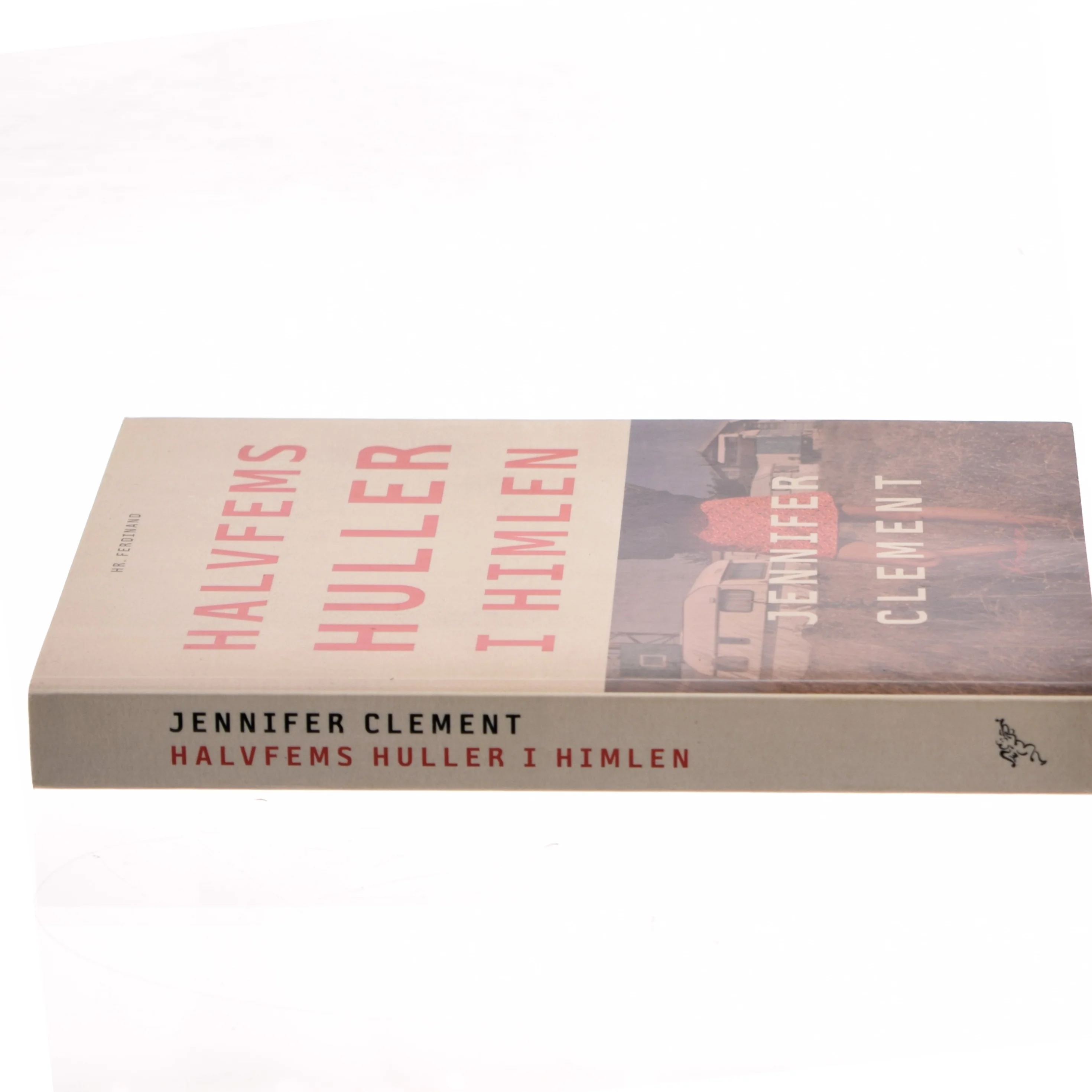 Halvfems huller i himlen : roman af Jennifer Clement (Bog)