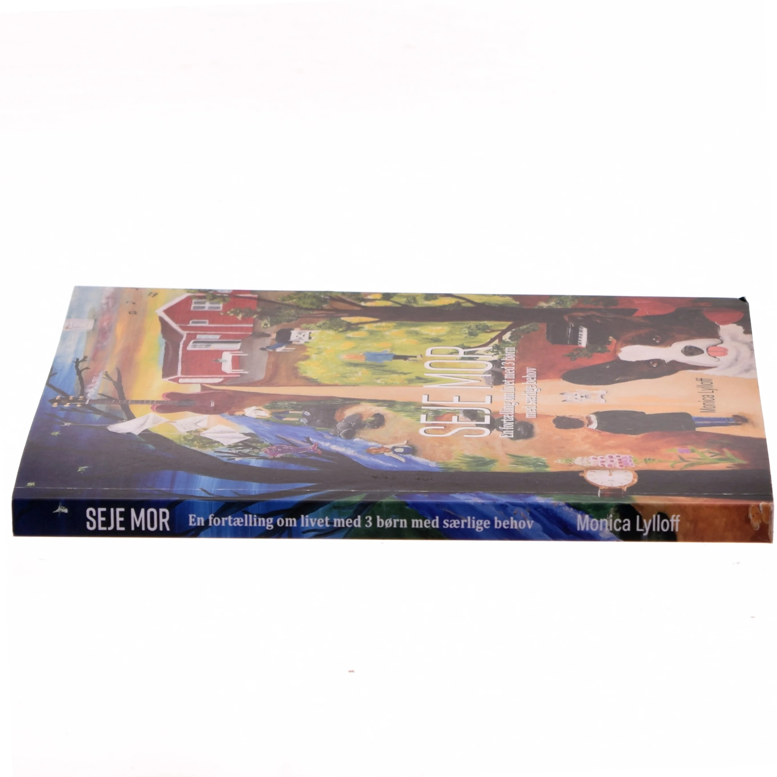 Seje mor : en fortælling om livet med 3 børn med særlige behov af Monica Lylloff (f. 1978) (Bog)