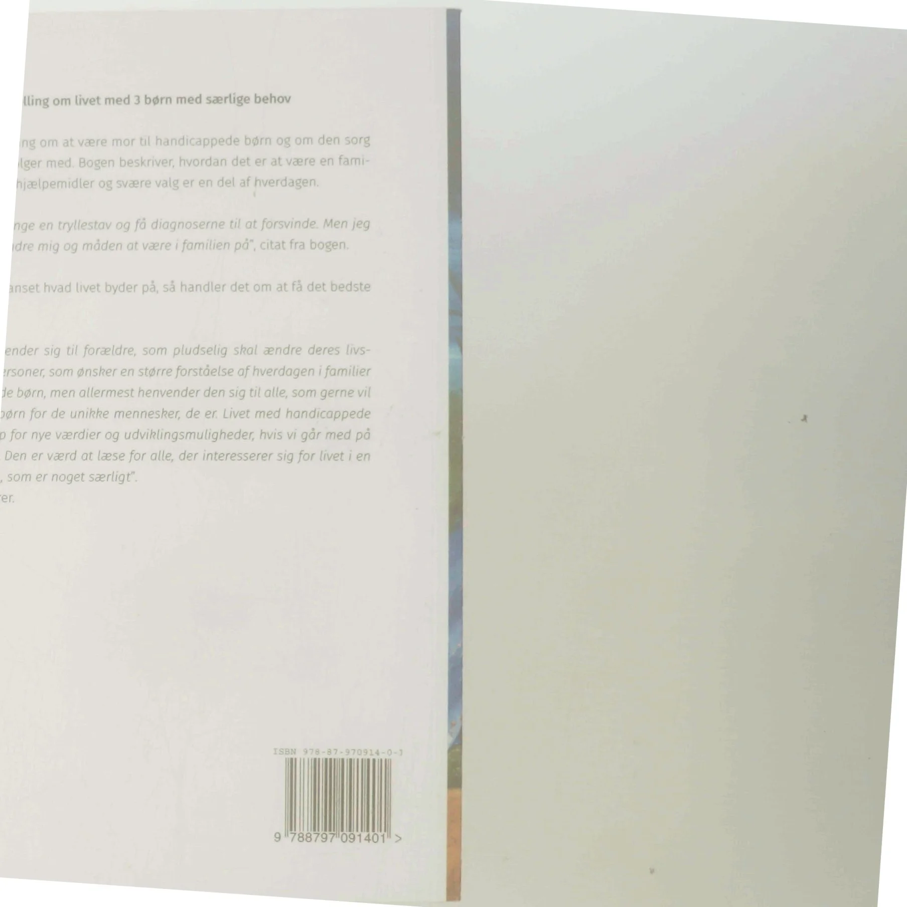 Seje mor : en fortælling om livet med 3 børn med særlige behov af Monica Lylloff (f. 1978) (Bog)