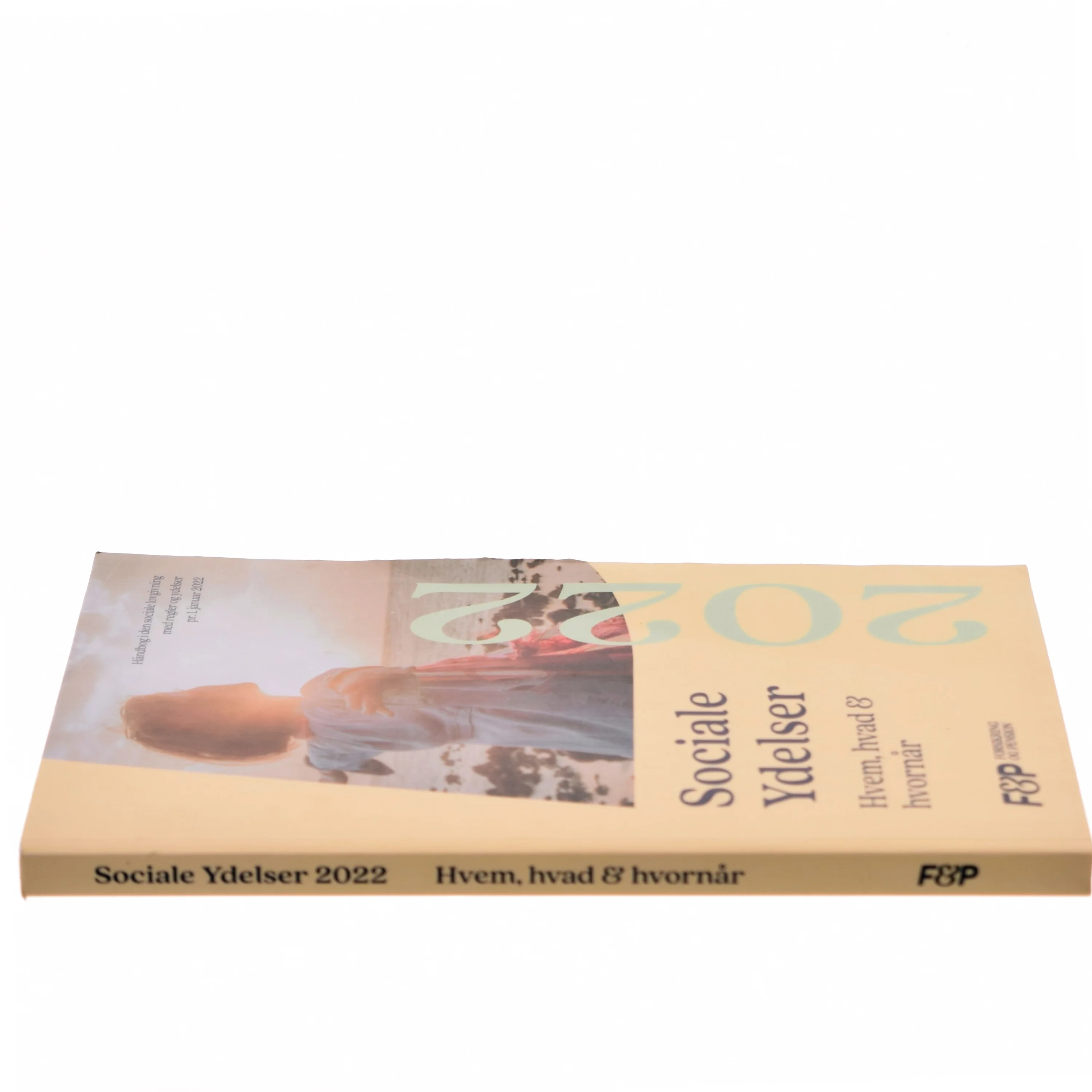 Sociale ydelser - hvem, hvad og hvornår : håndbog i den sociale lovgivning med regler og ydelser (Bog)