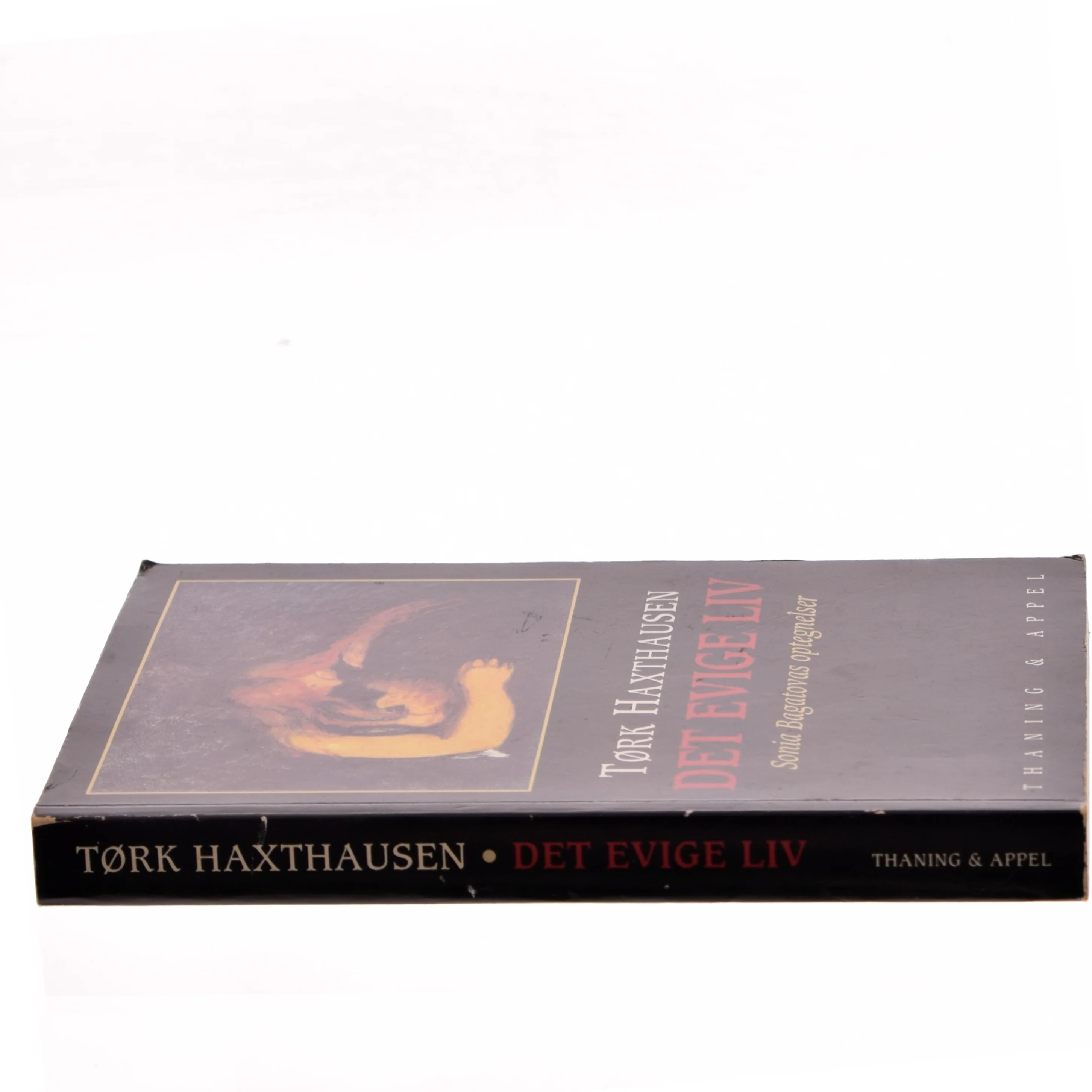 Det evige liv : Sonia Bagatovas optegnelser af Tørk Haxthausen (Bog)