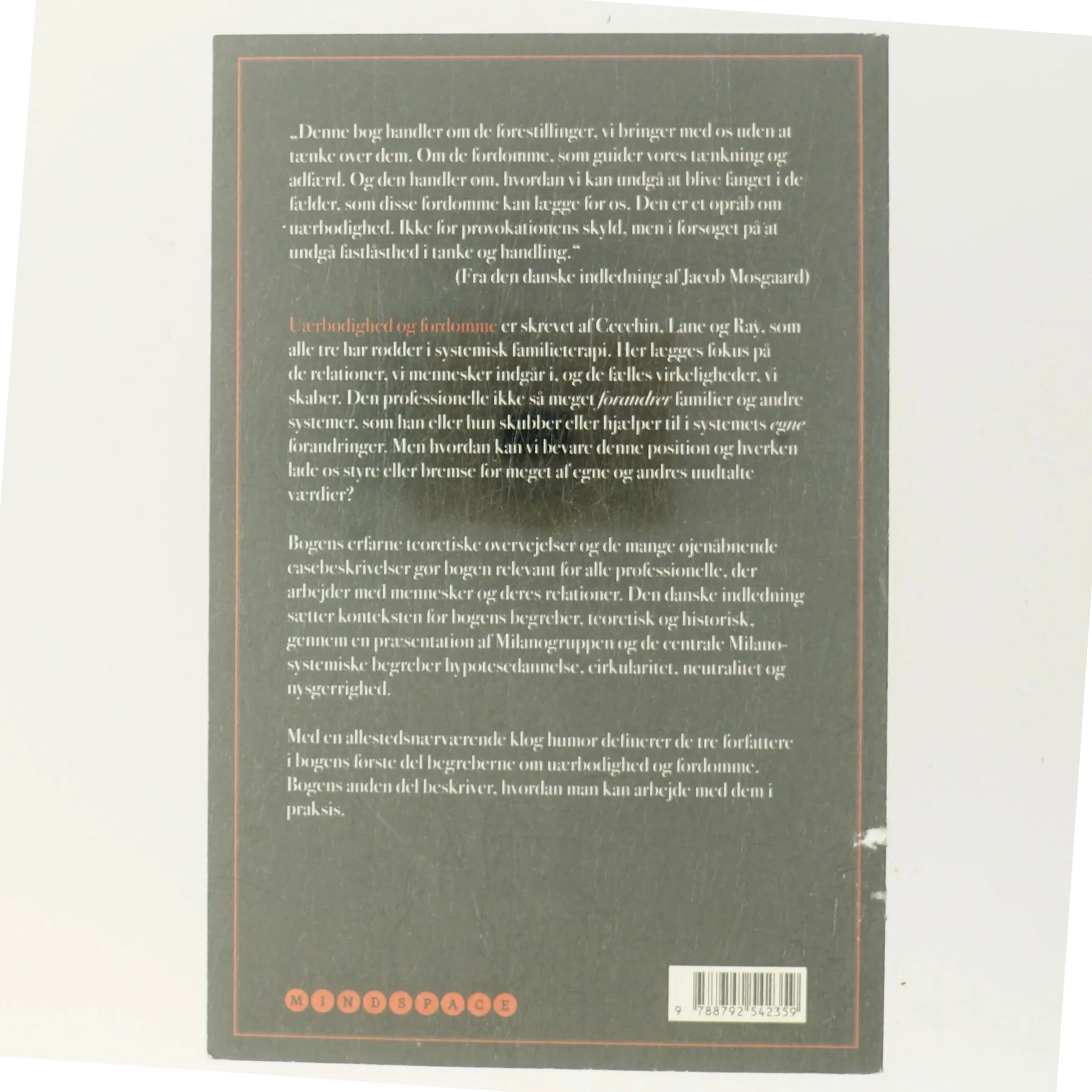 Uærbødighed og fordomme af Gianfranco Cecchin (Bog)