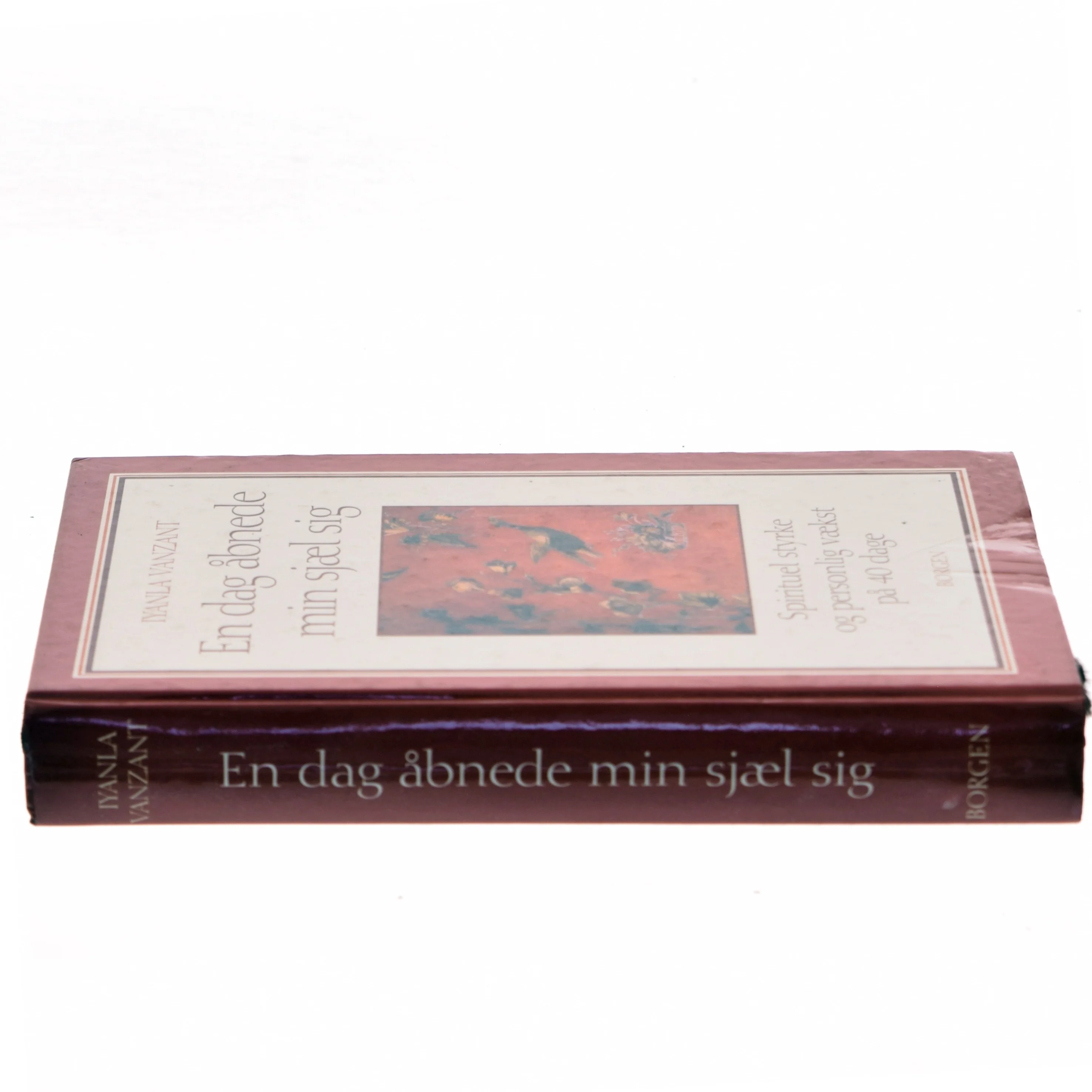 En dag åbnede min sjæl sig : åndelig styrke og personlig vækst på 40 dage af Iyanla Vanzant (Bog)