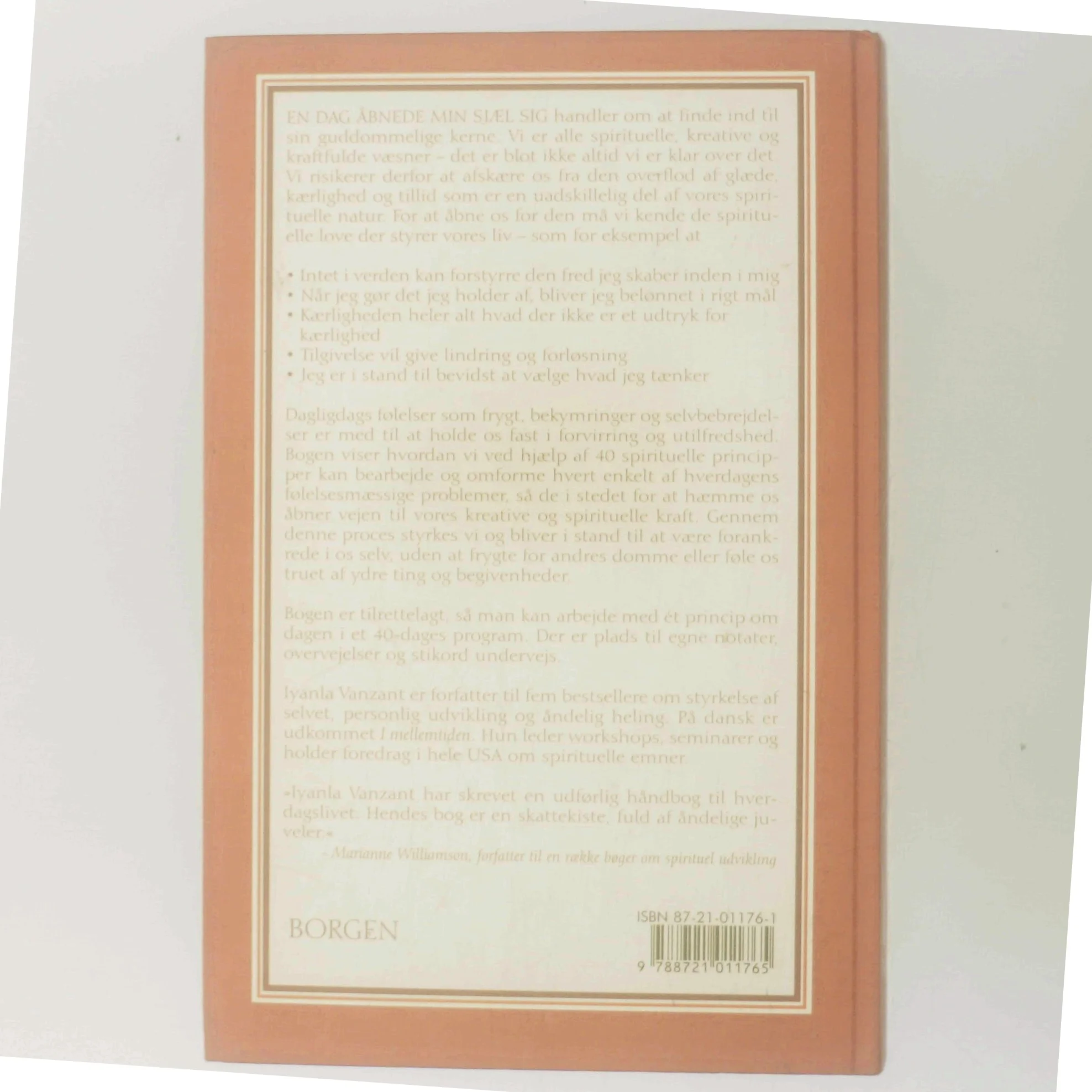 En dag åbnede min sjæl sig : åndelig styrke og personlig vækst på 40 dage af Iyanla Vanzant (Bog)