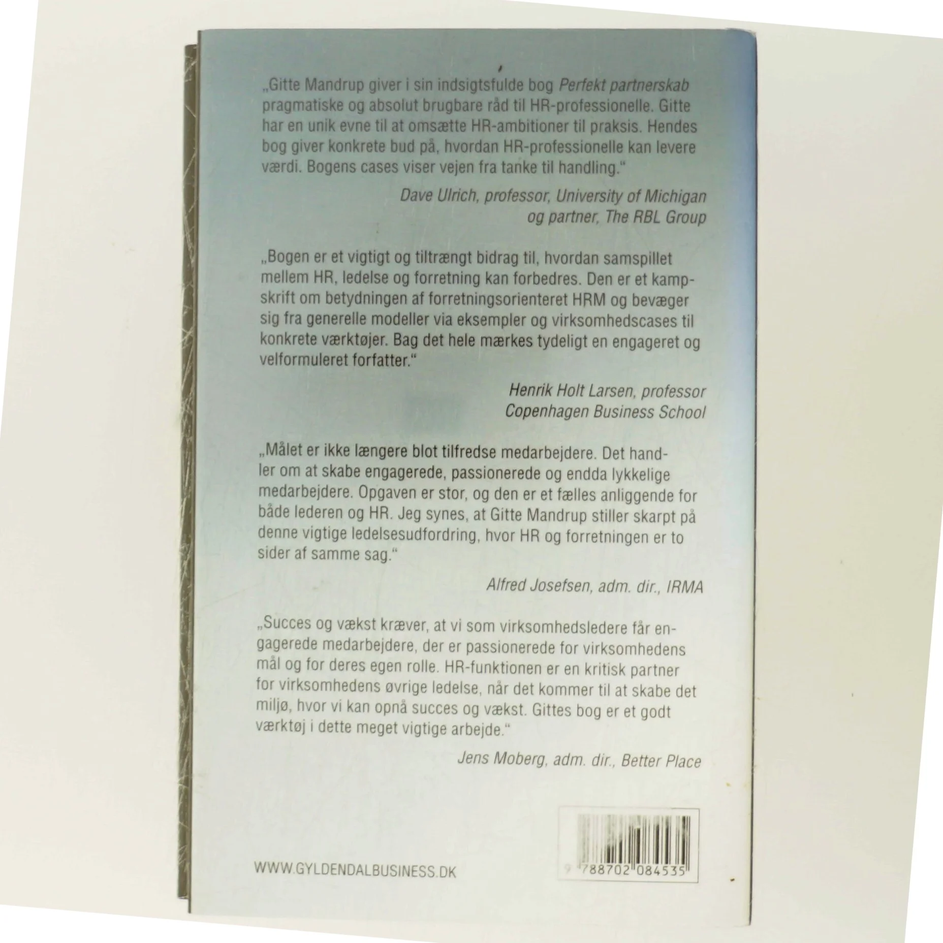 Perfekt partnerskab : forretningsorienteret HR i praksis af Gitte Mandrup (Bog)