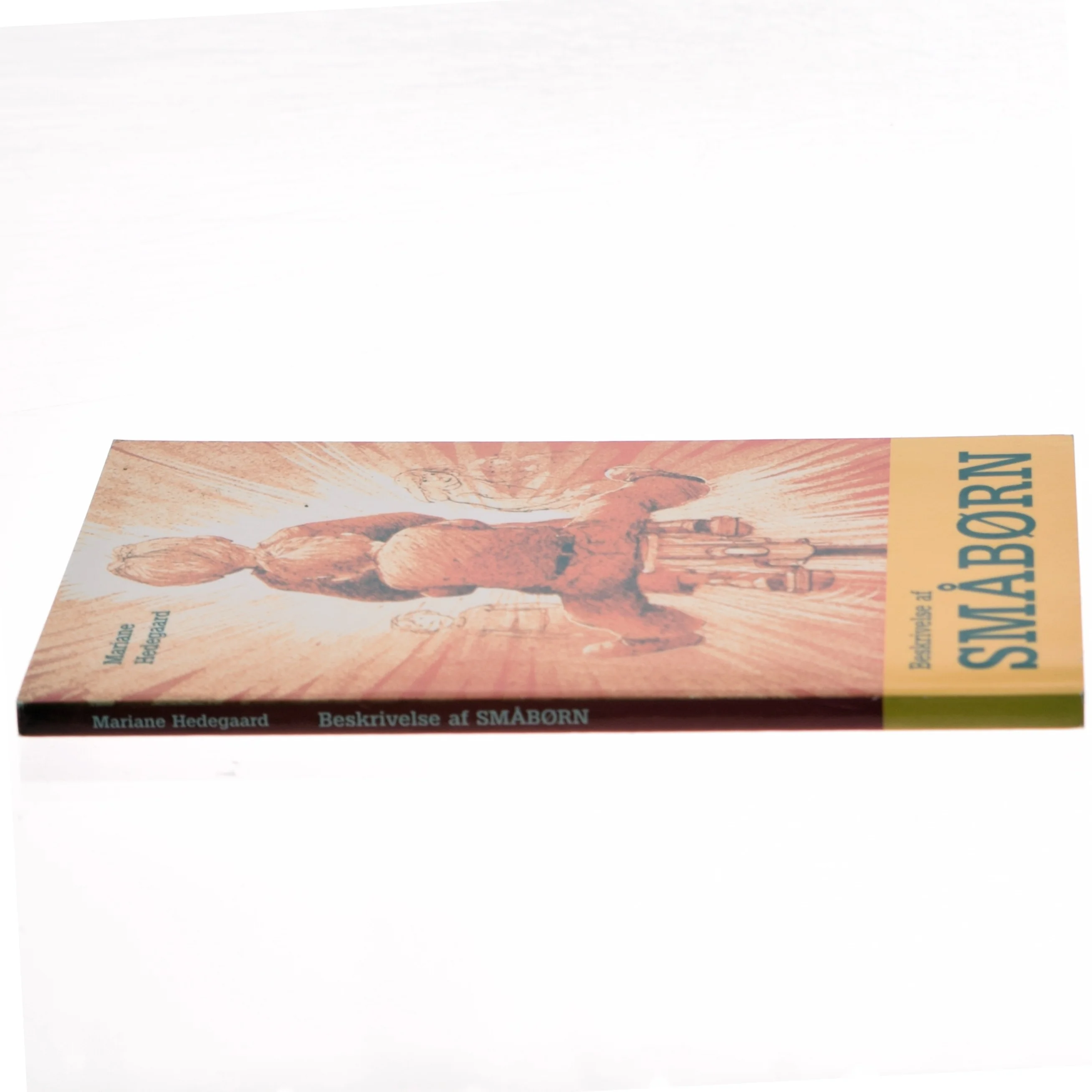 Beskrivelse af småbørn af Mariane Hedegaard (Bog)