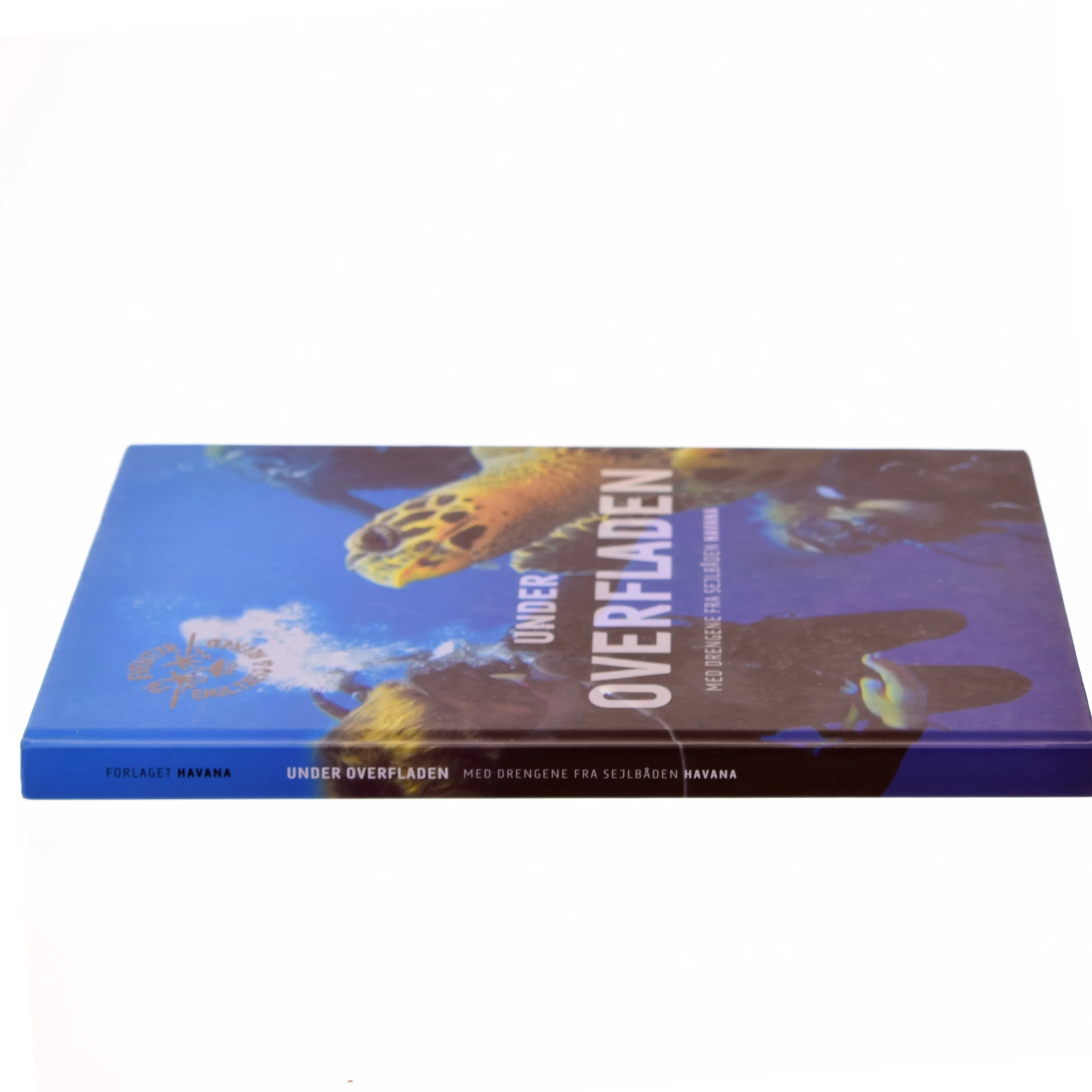 Under overfladen af Alfred Midé Erichsen (Bog)