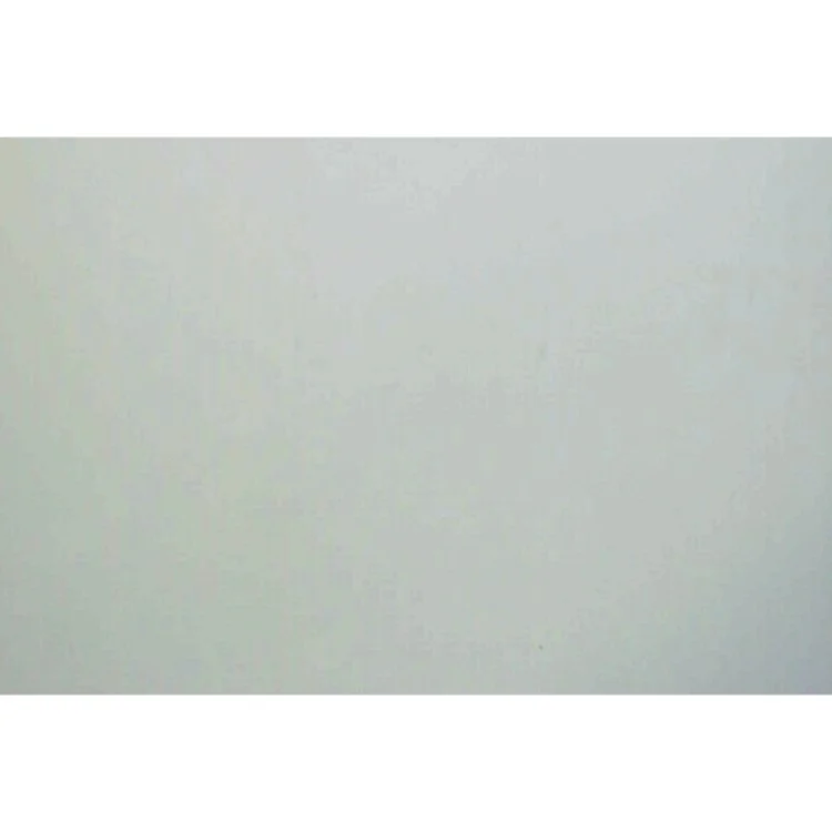 Dietland af Sarai Walker (Bog)