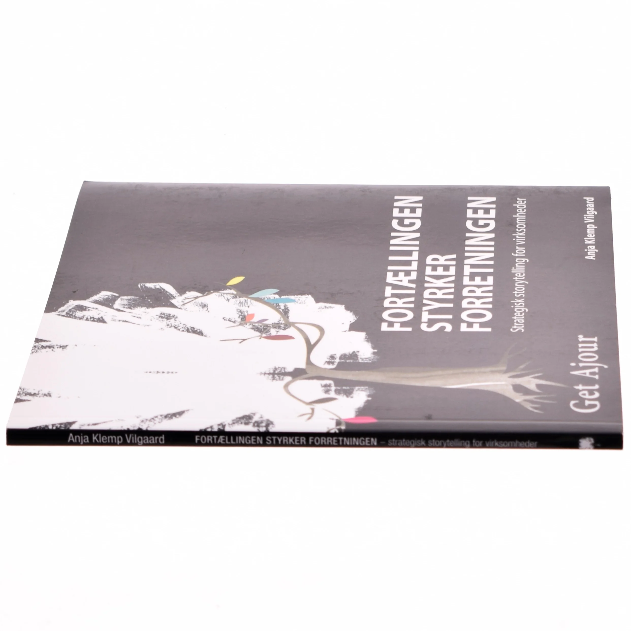 Fortællingen styrker forretningen af Anja Klemp Vilgaard (Bog)