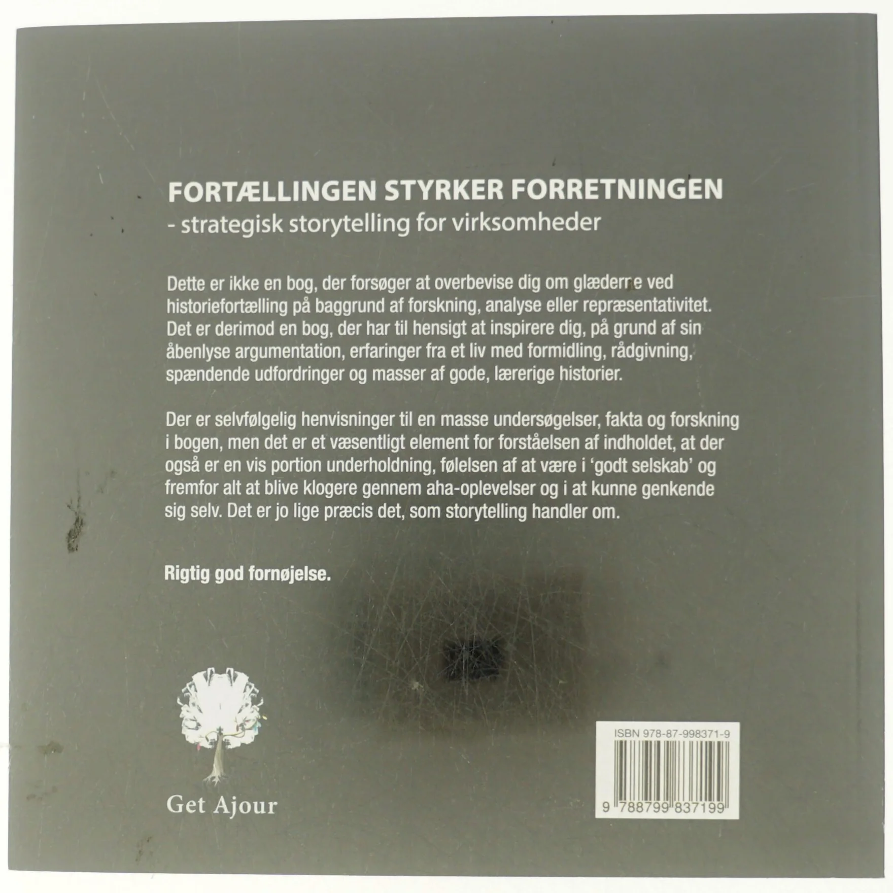 Fortællingen styrker forretningen af Anja Klemp Vilgaard (Bog)