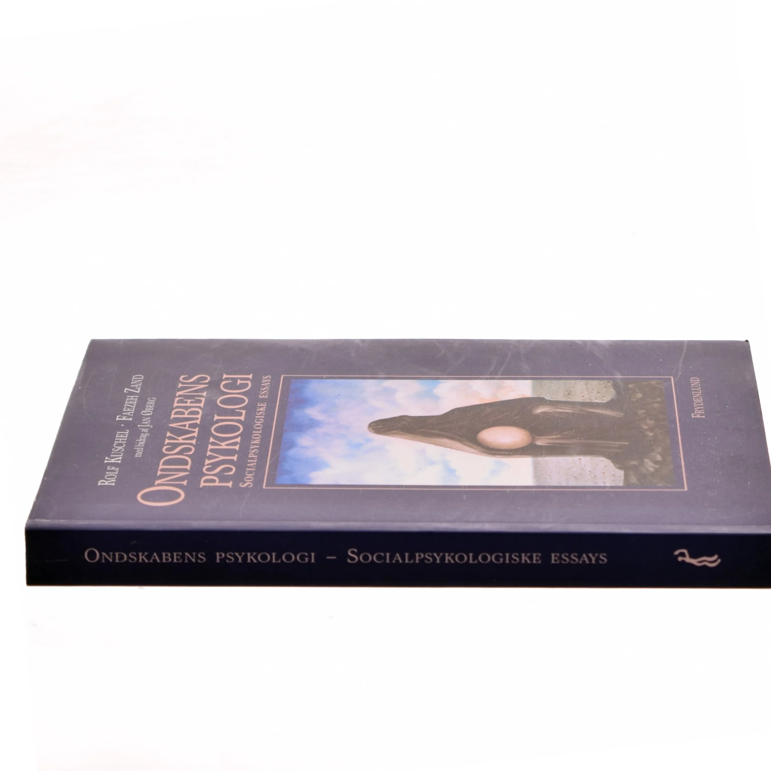 Ondskabens psykologi : socialpsykologiske essays (Bog)