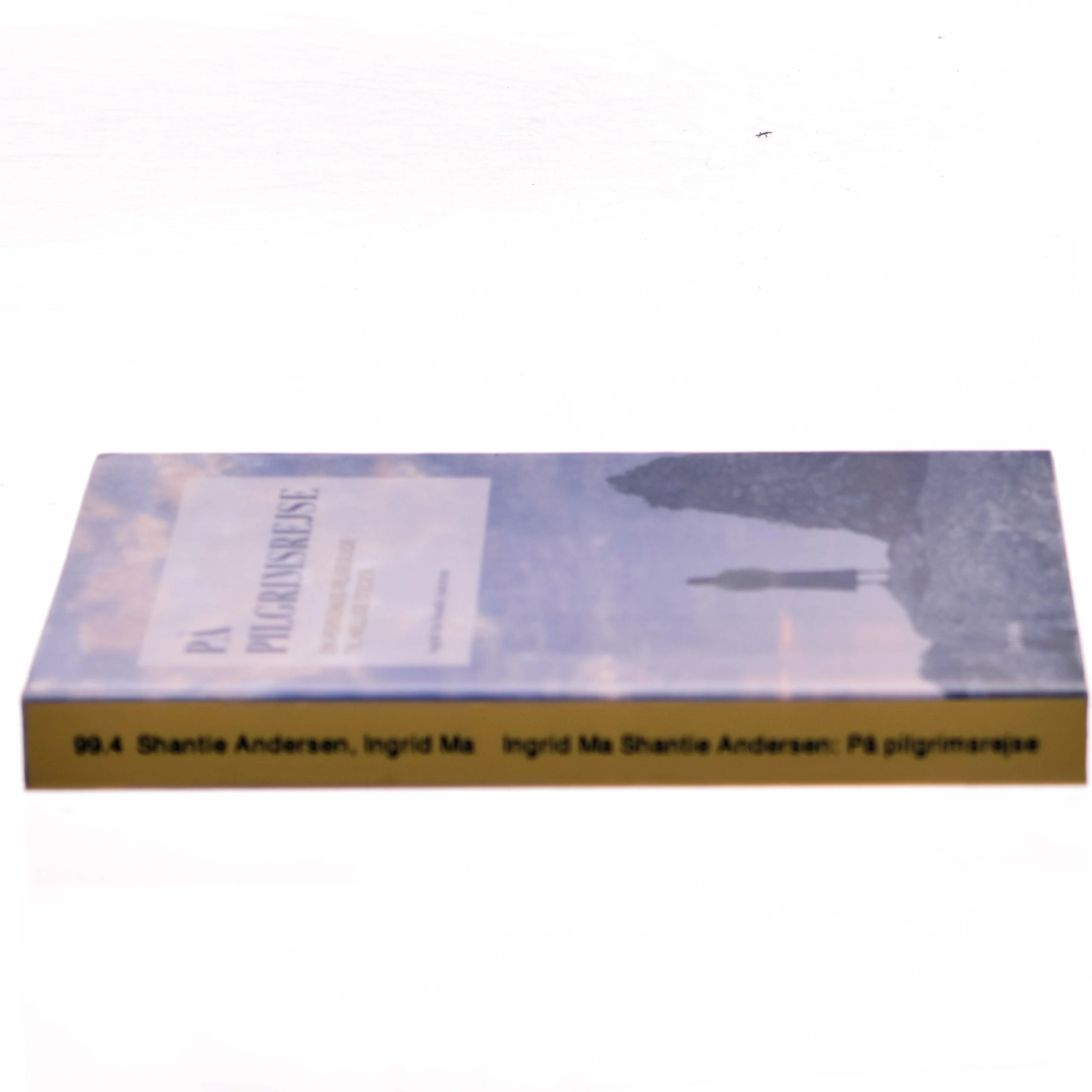 På pilgrimsrejse af Ingrid Ma Shantie Andersen (Bog)