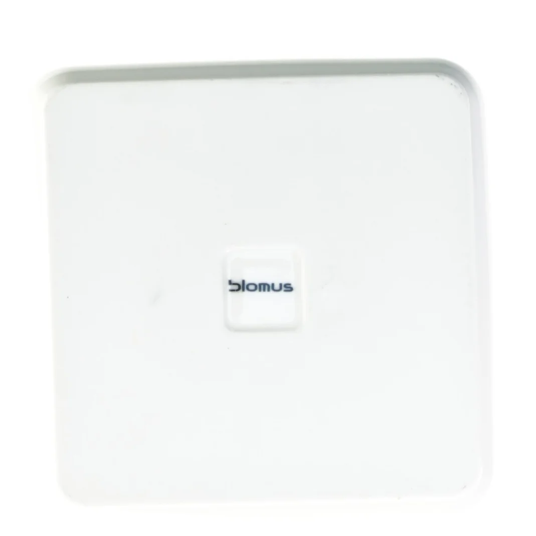 Skål fra Blomus (str. 20 x 11 cm )