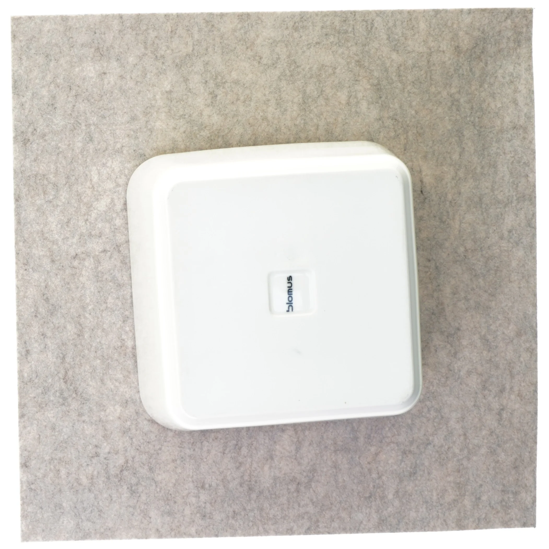 Skål fra Blomus (str. 20 x 11 cm )