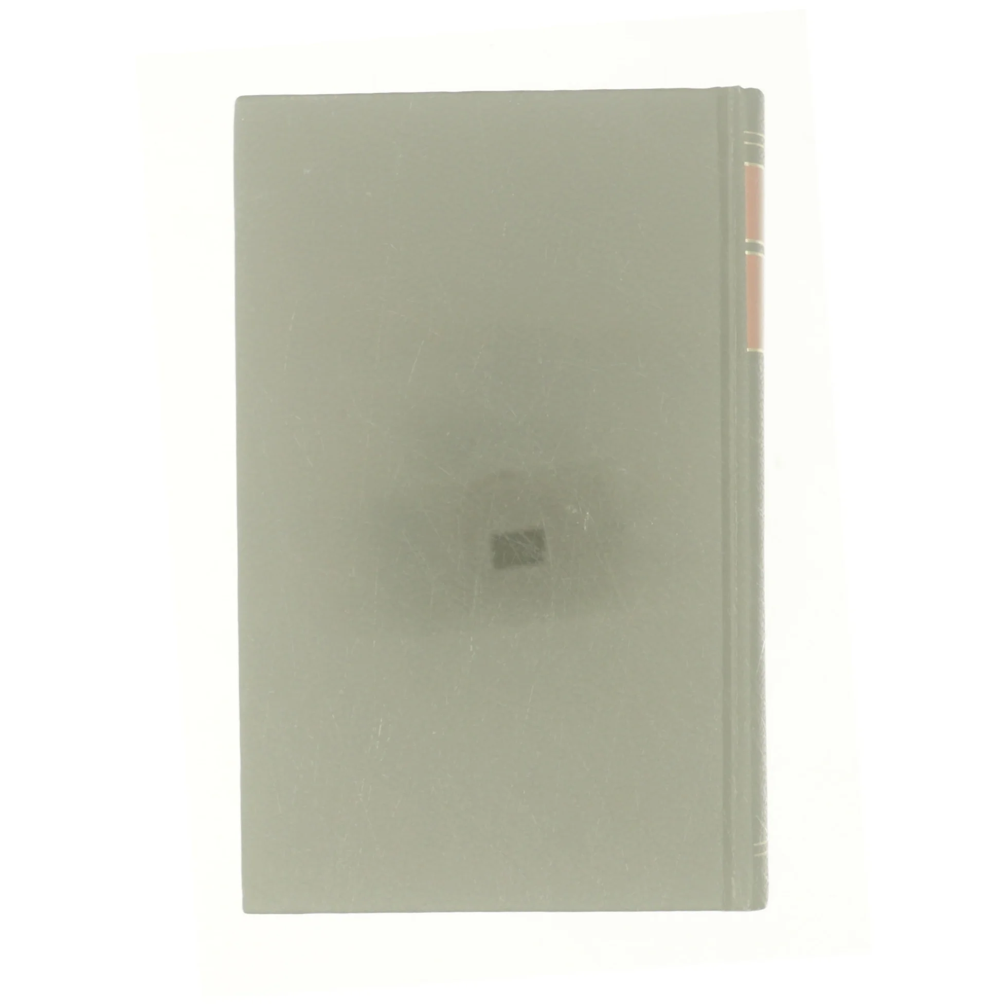 Ekko i Mørket af Carol Smith