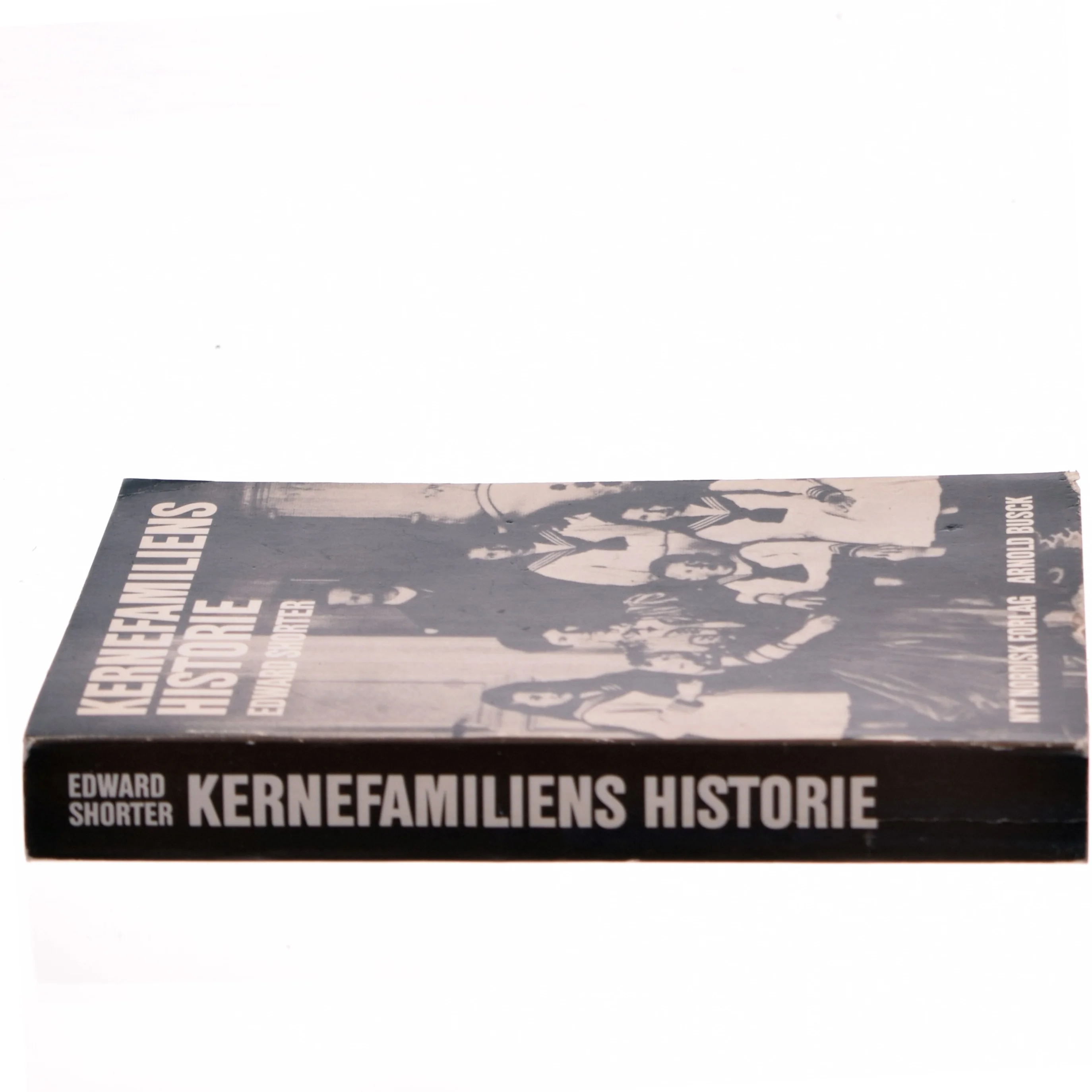 Kernefamiliens historie af Edward Shorter (Bog)