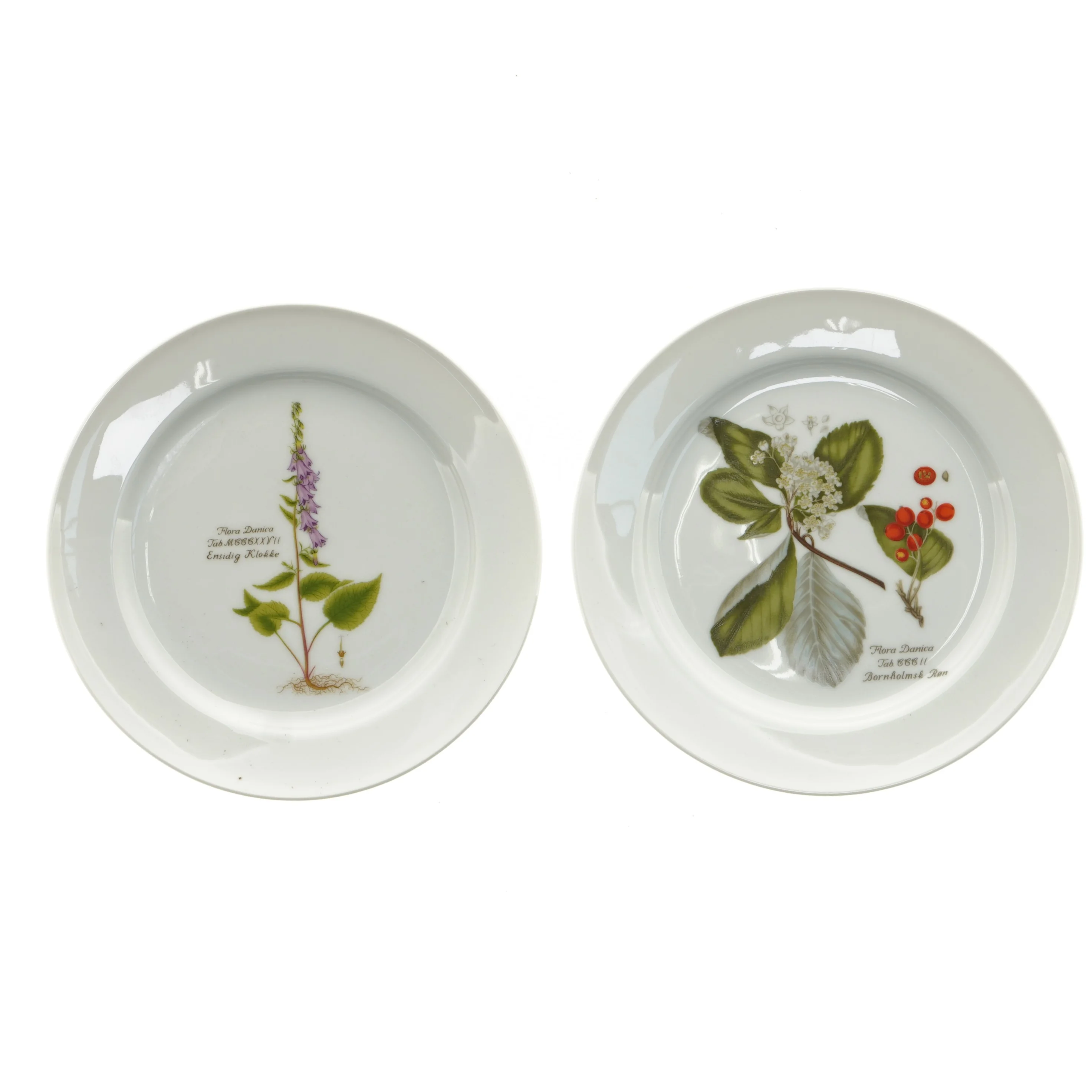 Flora Danica tallerkener fra Faxe depotet (str. Ø 20 cm)
