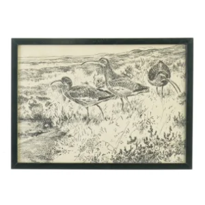 Leif Ravn Jensen billede med motiv af strandfugle (str. 28 x 20 cm)