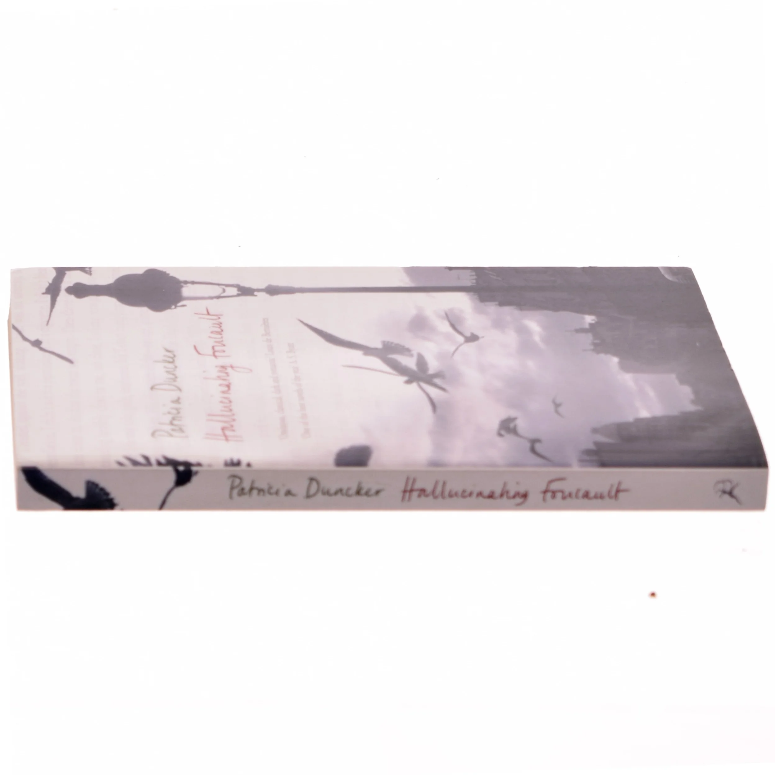 Hallucinating Foucault