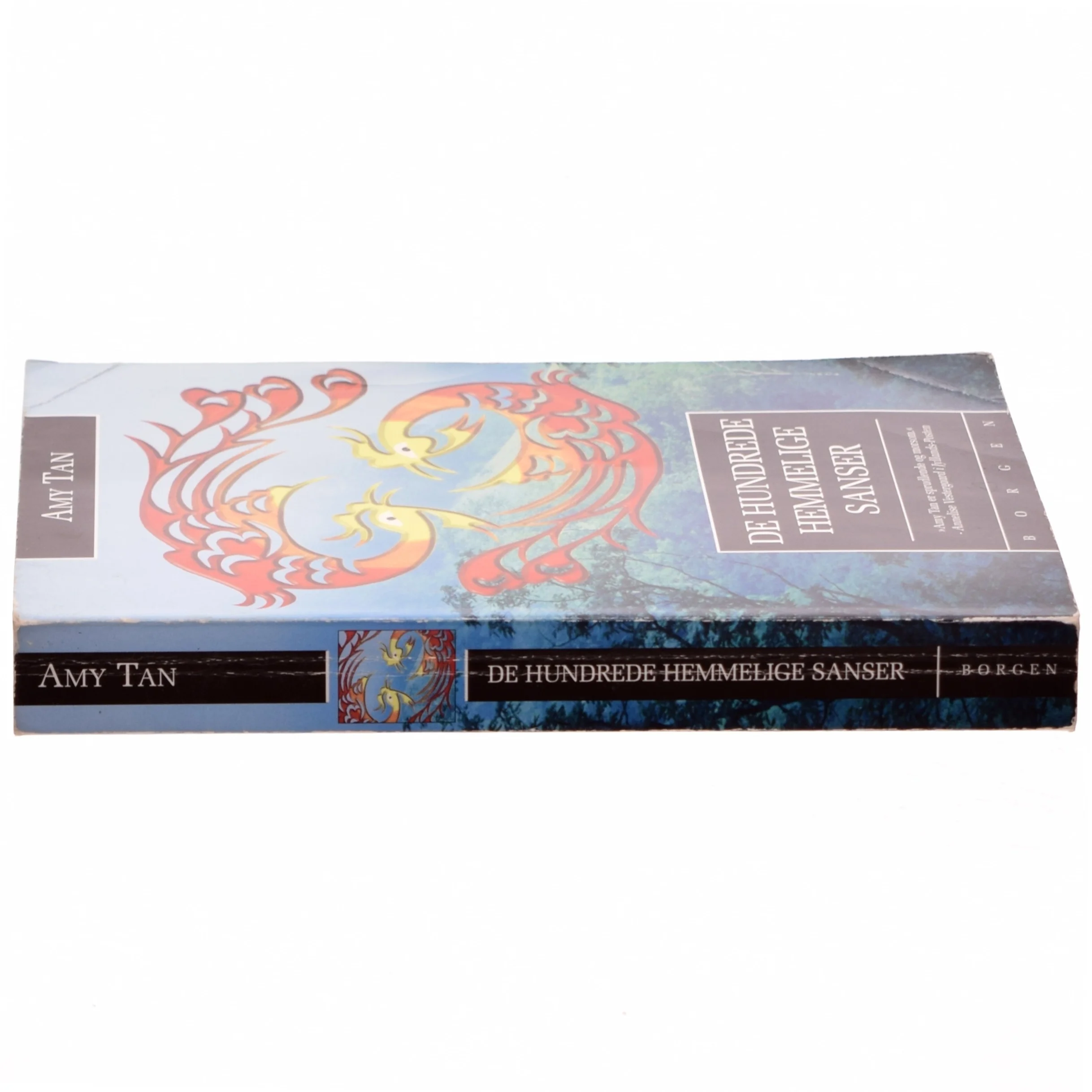 De hundrede hemmelige sanser : roman af Amy Tan (Bog)