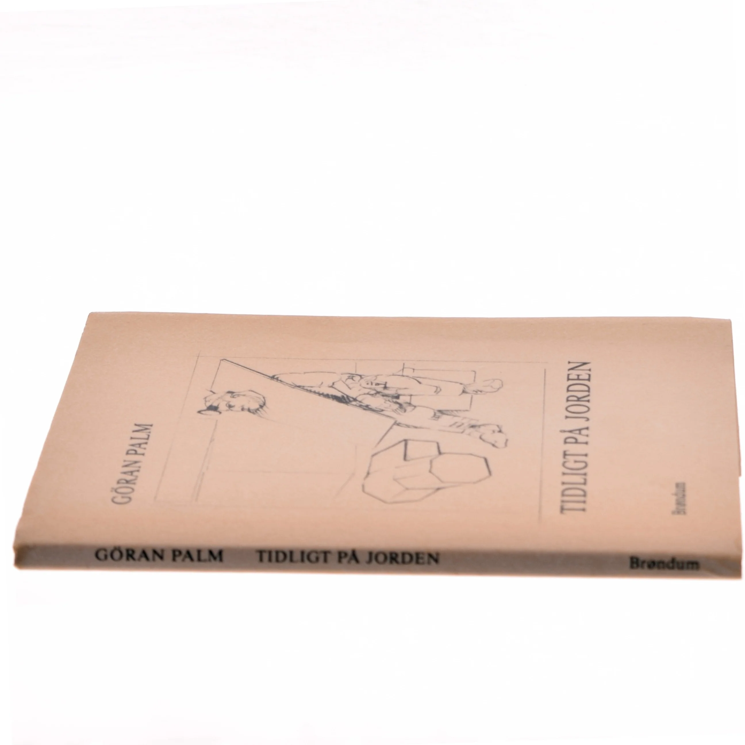 Tidligt på Jorden af Göran Palm (Bog)