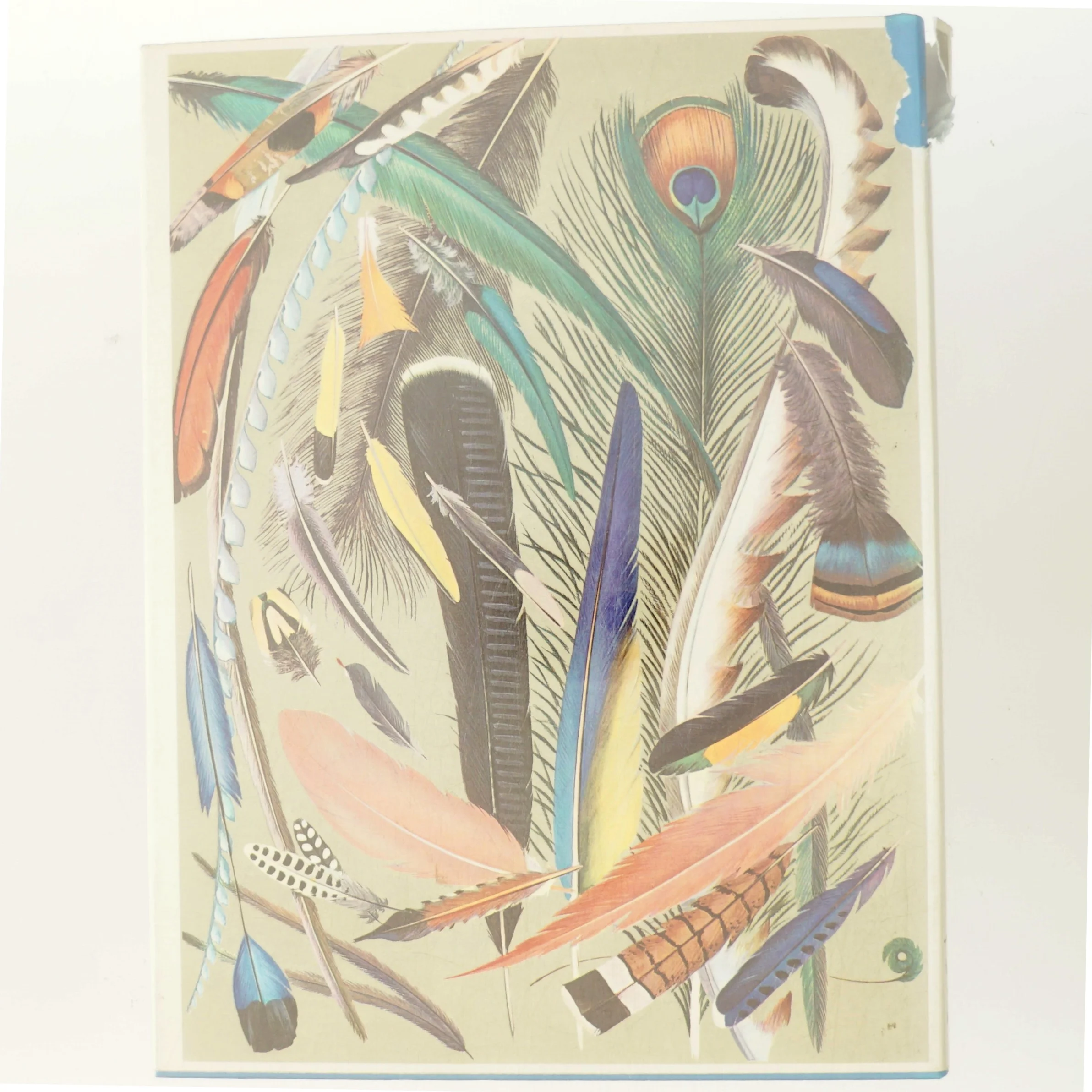 Fugle af James Fisher (Bog)