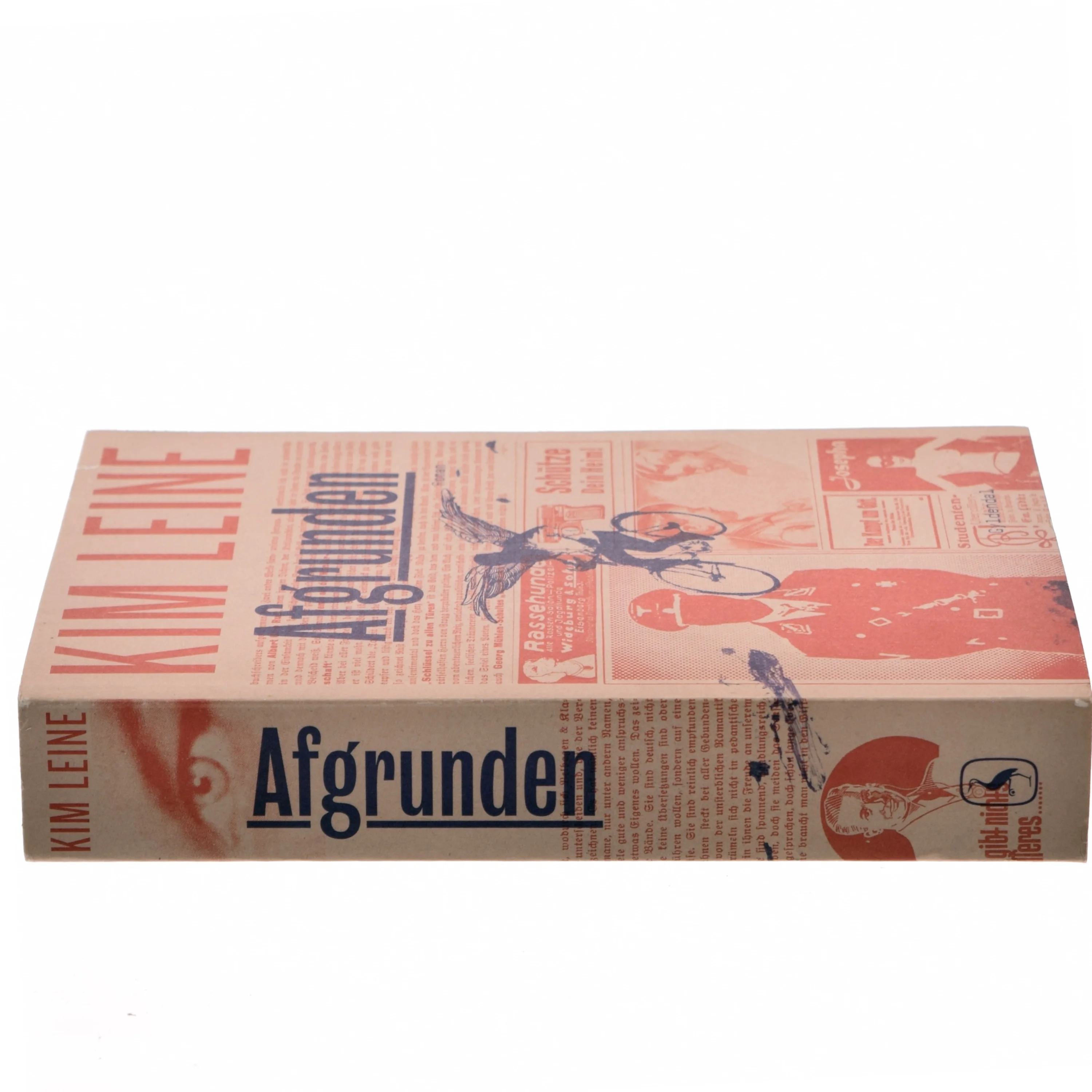 Afgrunden : roman (Klassesæt) af Kim Leine (Bog)