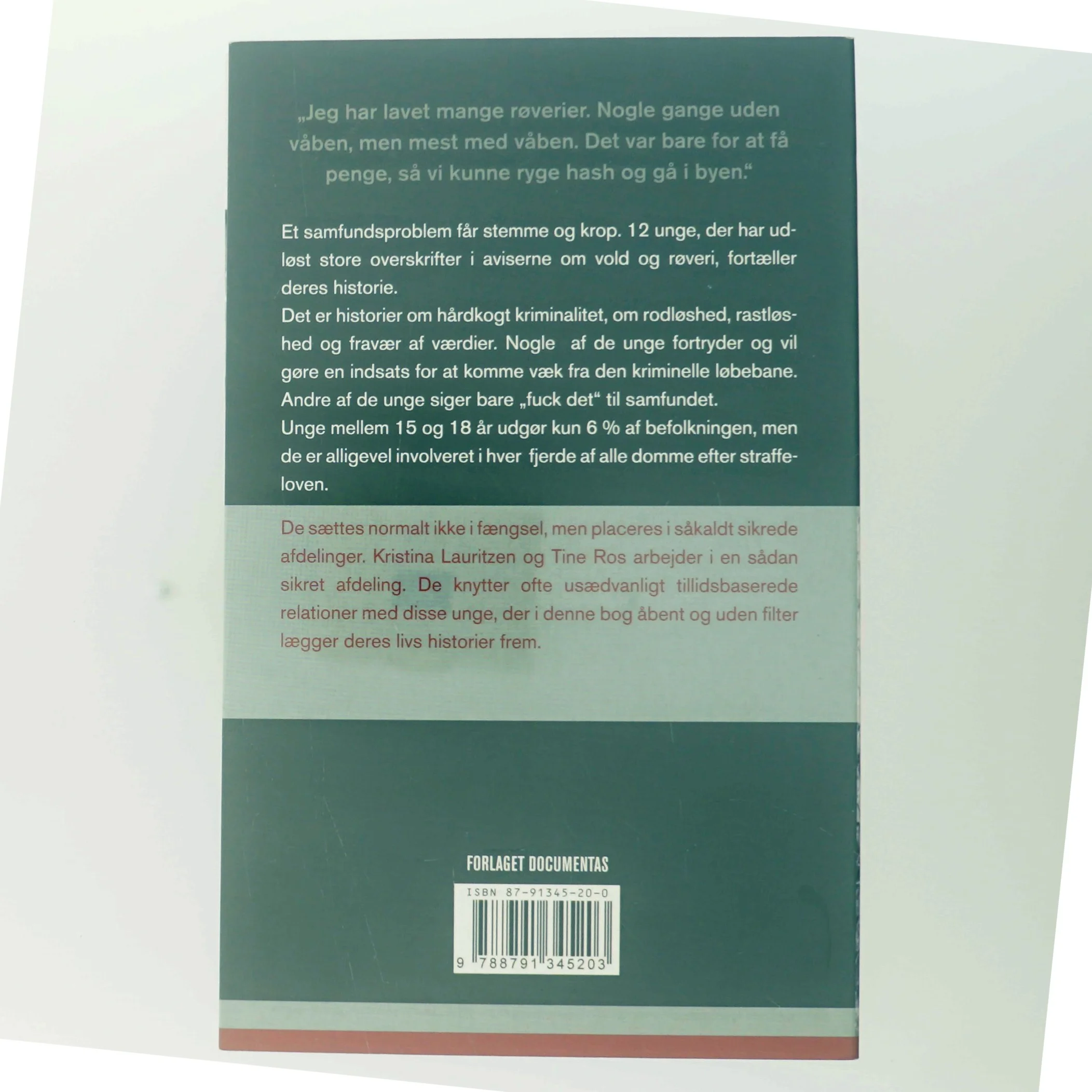 Rodløs : samtaler med unge kriminelle (Bog)