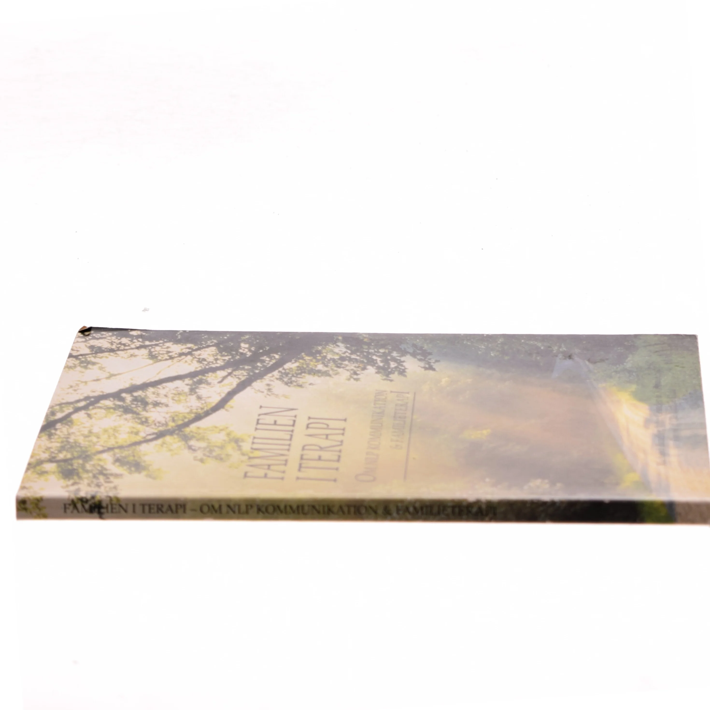 Familien i terapi af Richard Bandler (Bog)