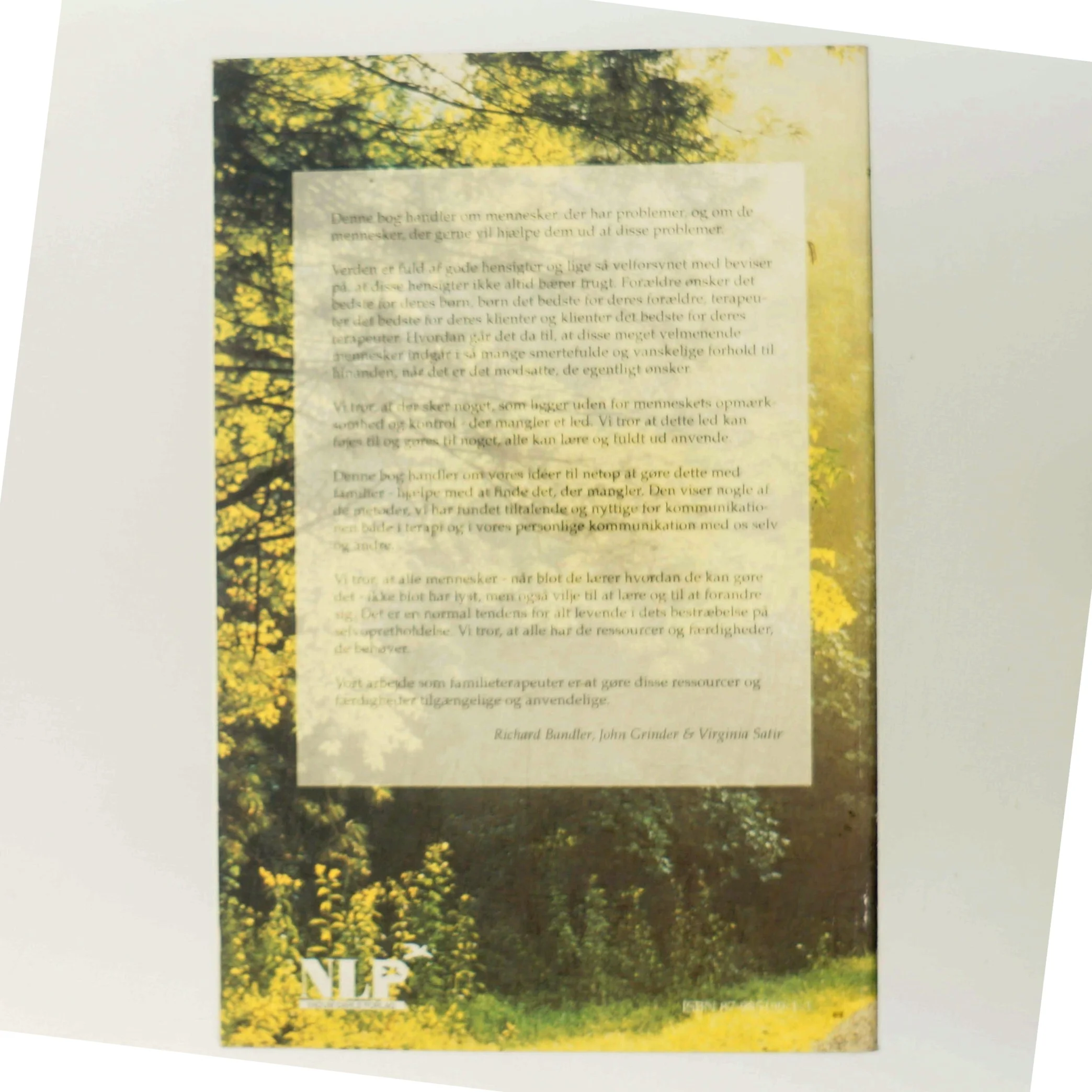 Familien i terapi af Richard Bandler (Bog)