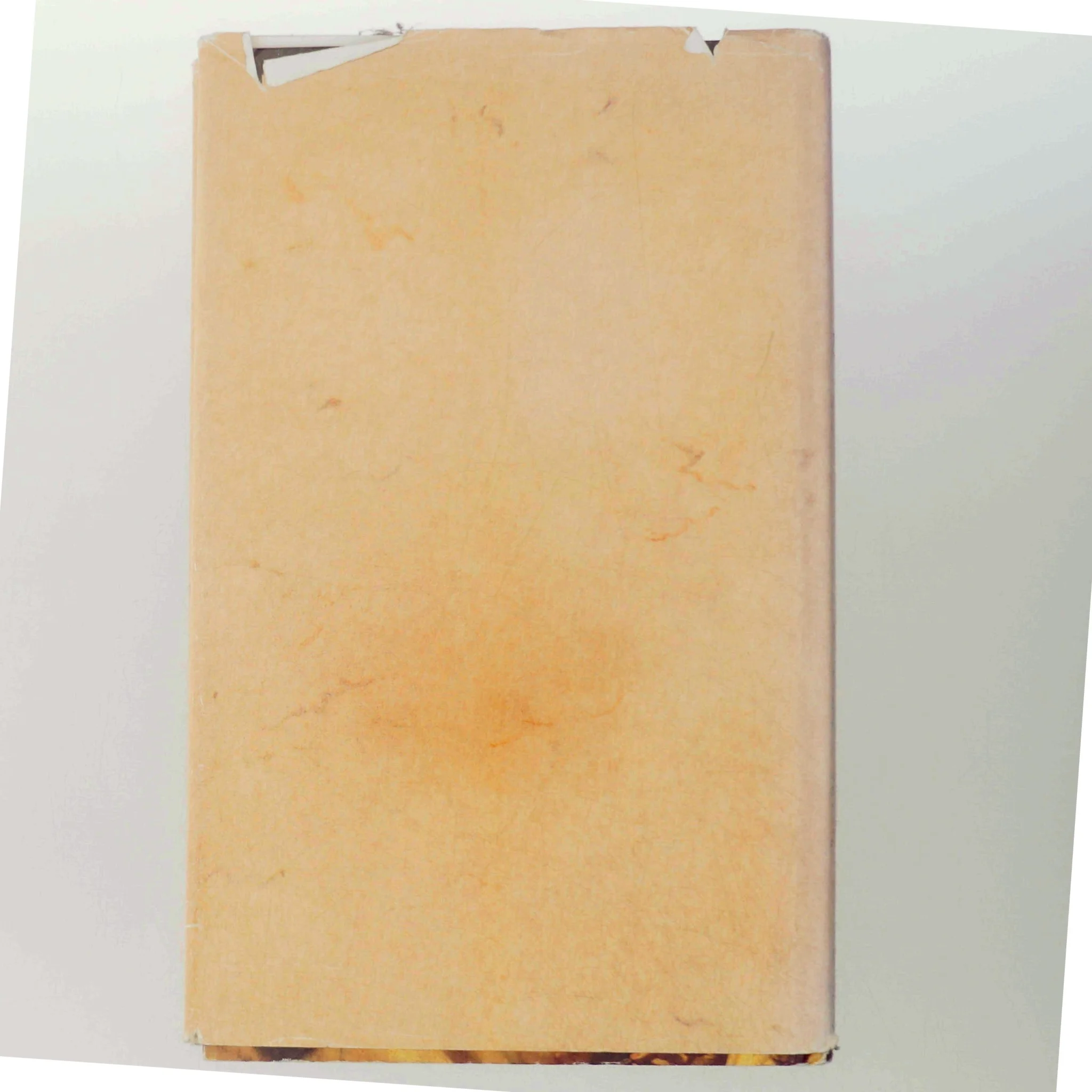 Spar dame, Helle Stangerup